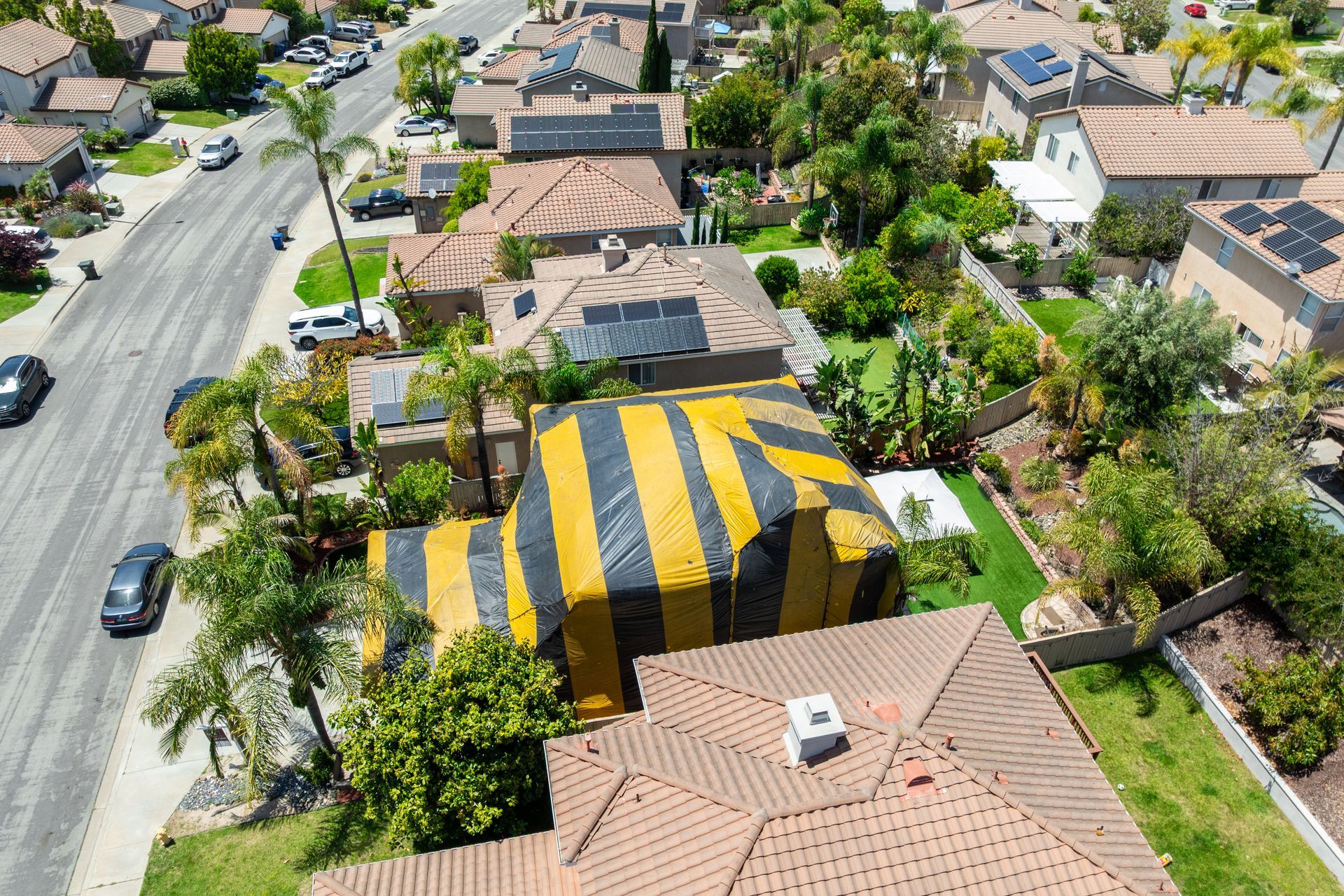 A house in the neighborhood was tented for a termite treatment.