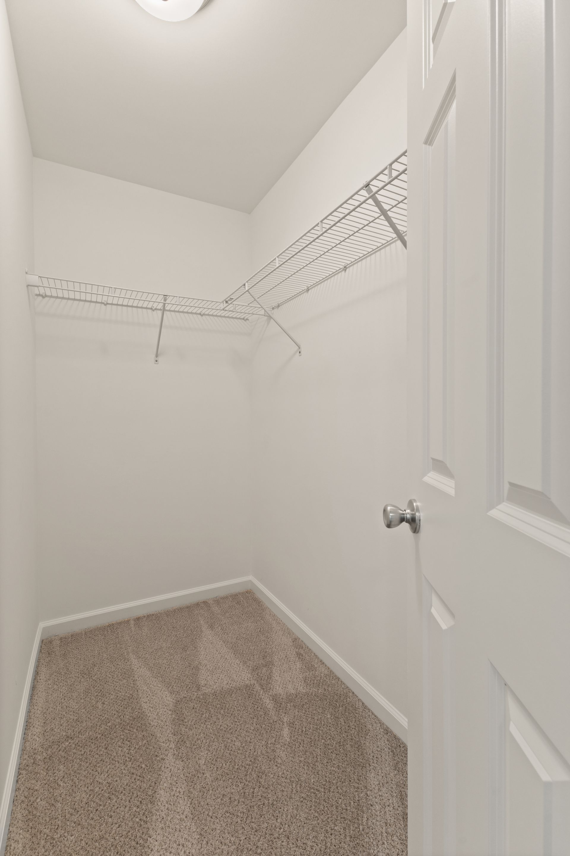 Empty walk-in closet with white wire shelving and beige carpet, viewed through a partially open door