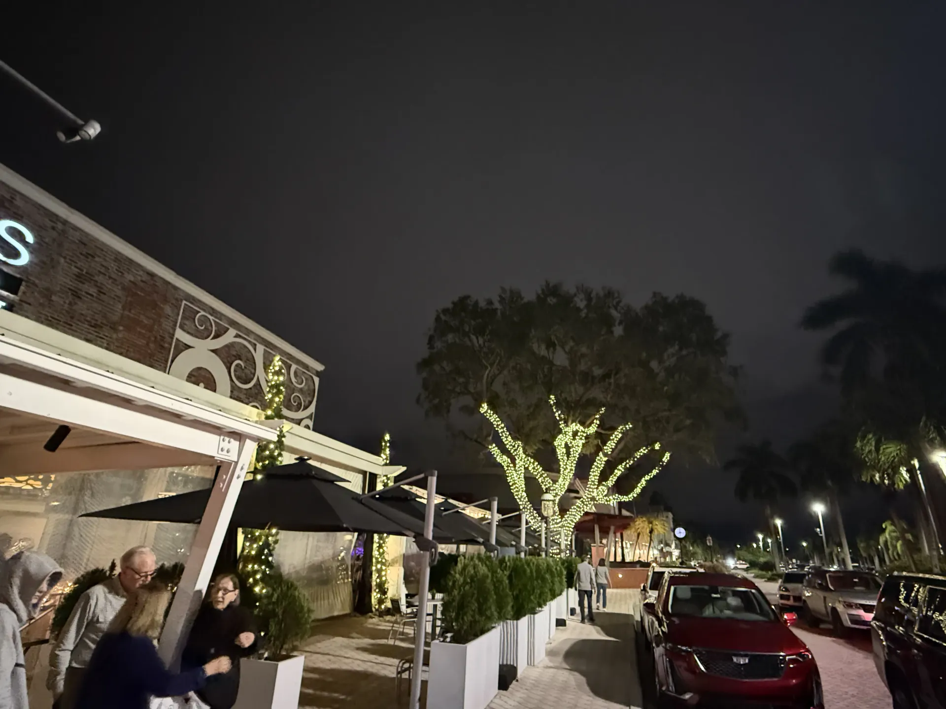 Commercial holiday lights installation for restaurants and retail spots in South Florida.