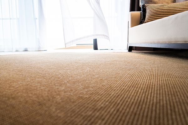 Modern living room with carpet and sofa. Modern living room with carpet and sofa.