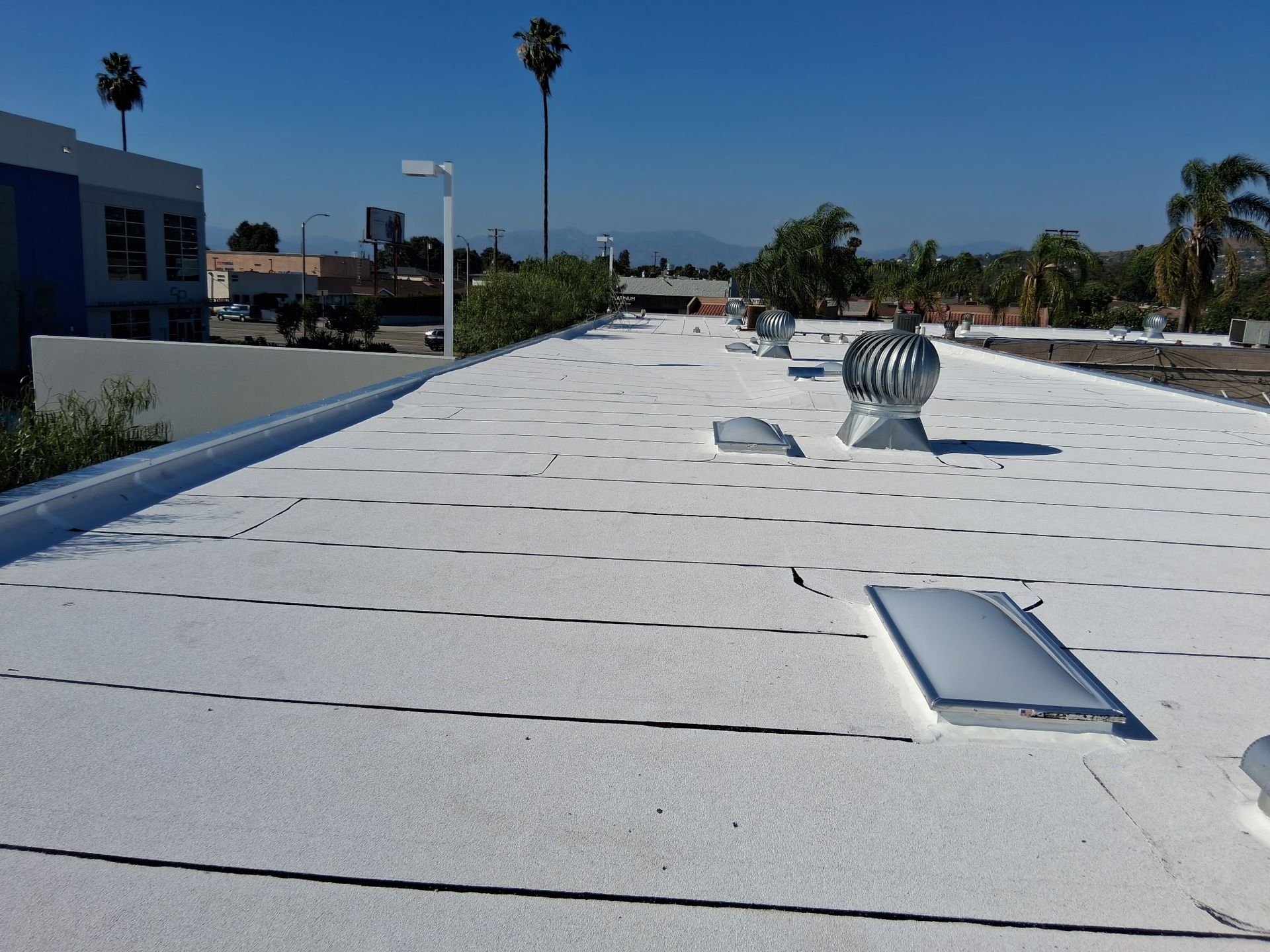 White rooftop with vents and skylights under a clear blue sky, palm trees and buildings in the distance