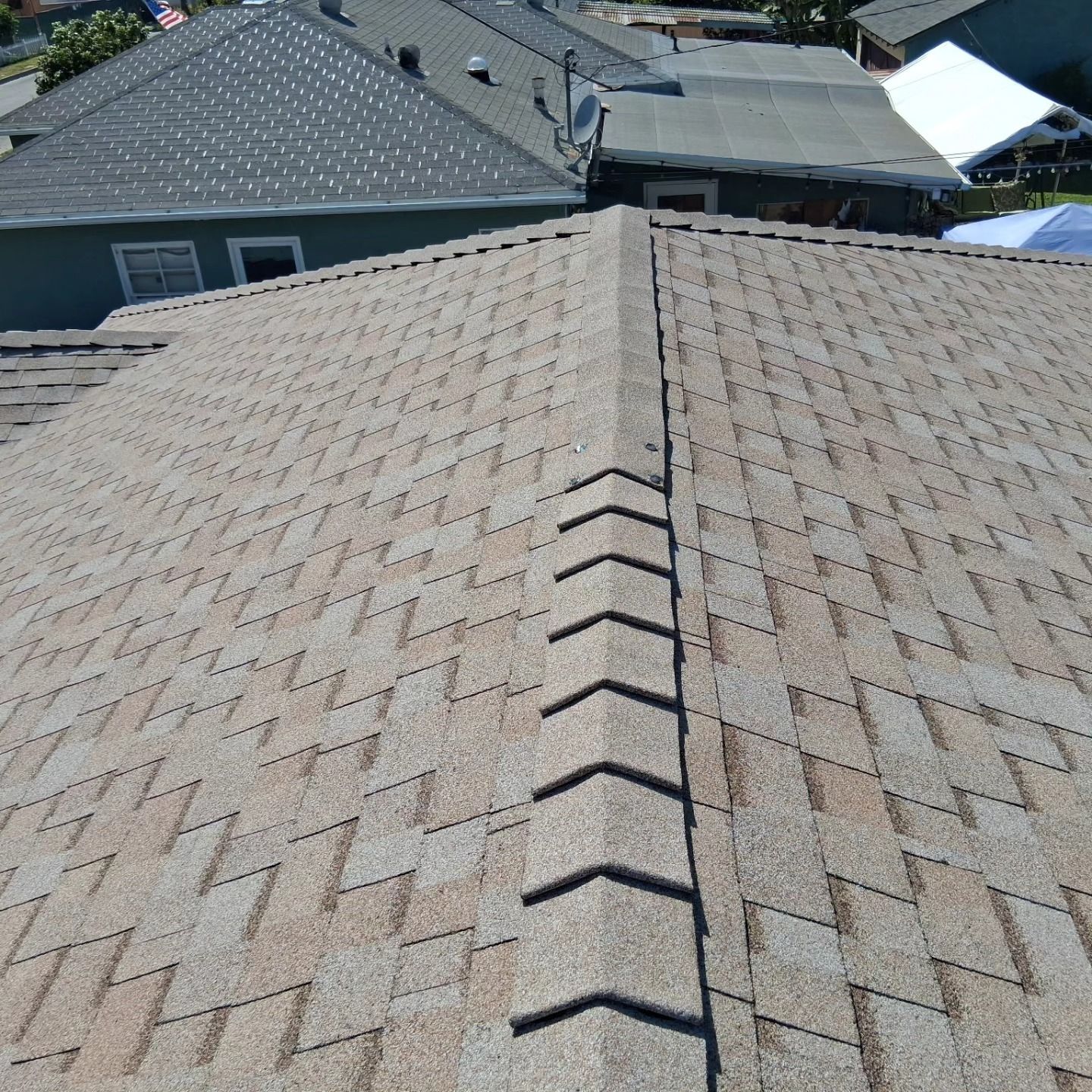 Shingled residential rooftops with a central ridge line under bright daylight