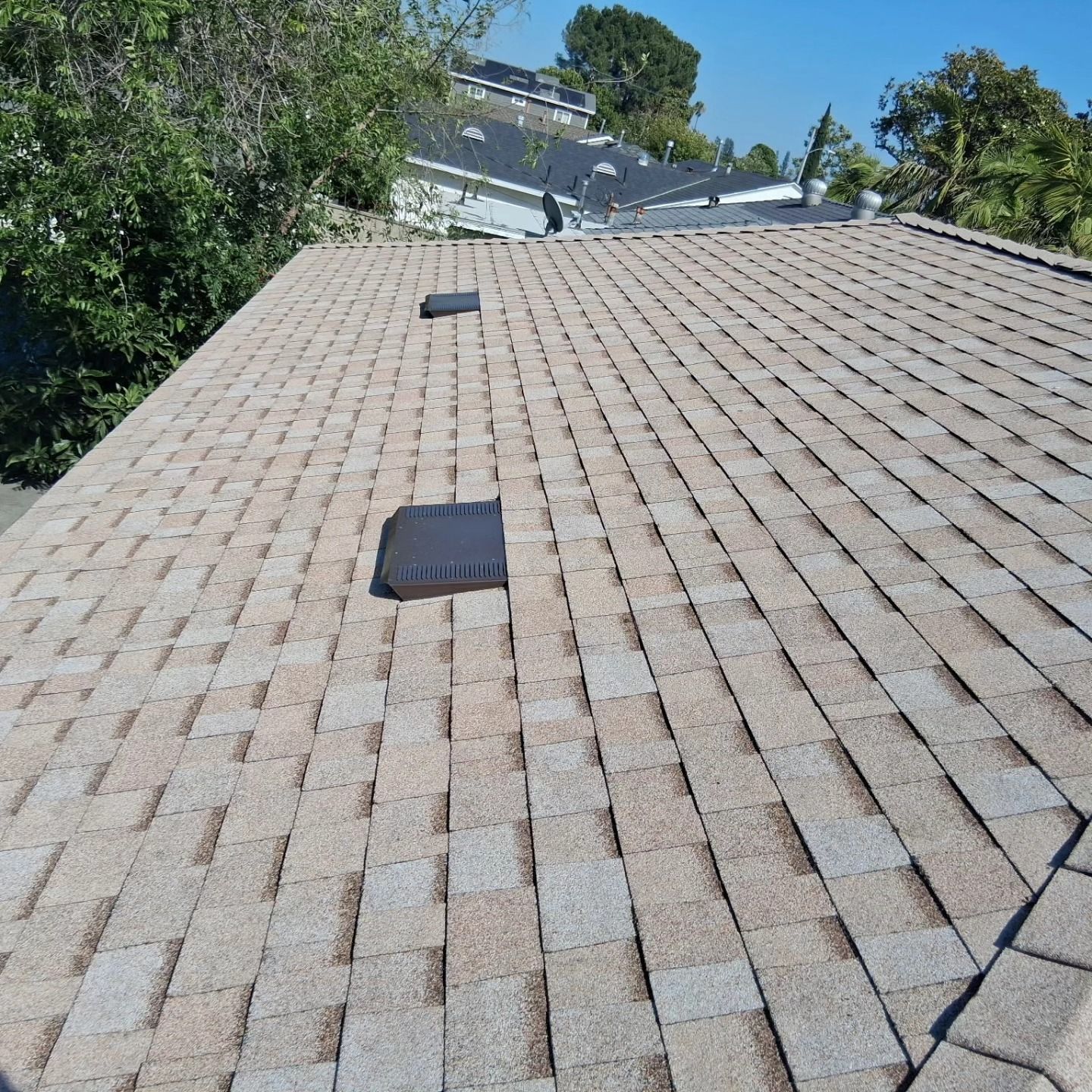 Rooftop shingle roof with two black vents, viewed from above with trees in the background