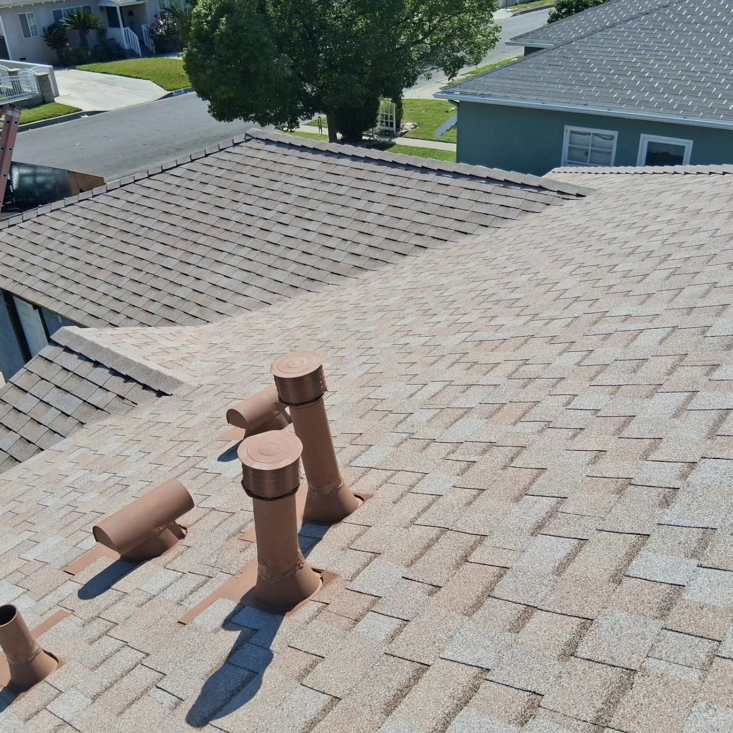 Rooftop view of brown asphalt shingles with several rust-colored vent pipes and nearby trees.
