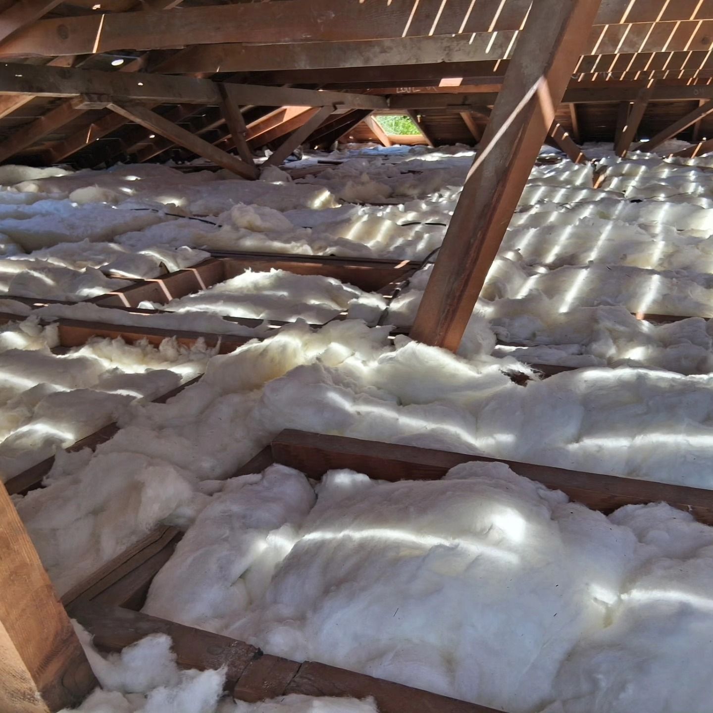 Snow-covered wooden attic beams under a damaged roof, with sunlight filtering through gaps.