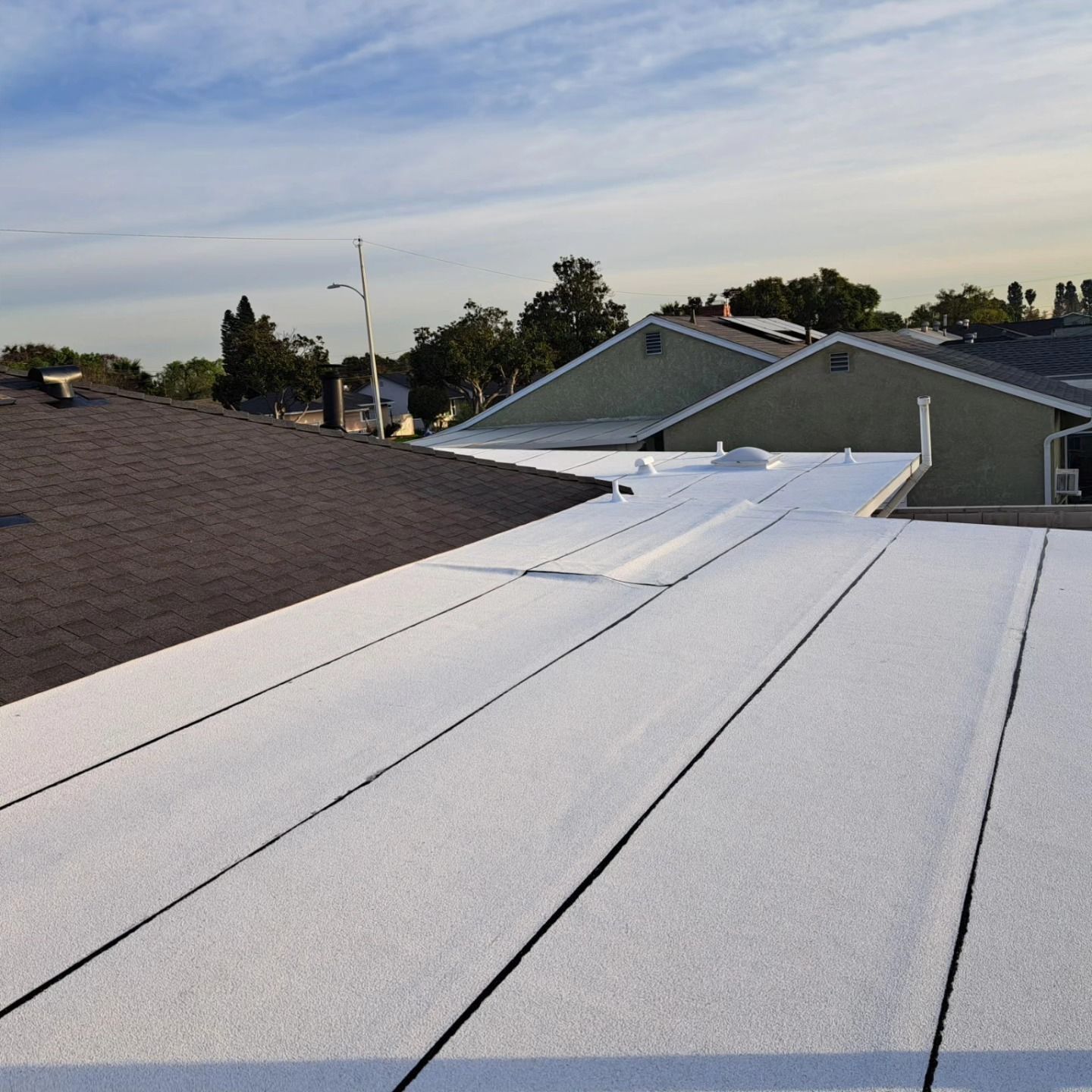 White rooftop panels beside a shingled roof, with trees and houses in the background at dusk