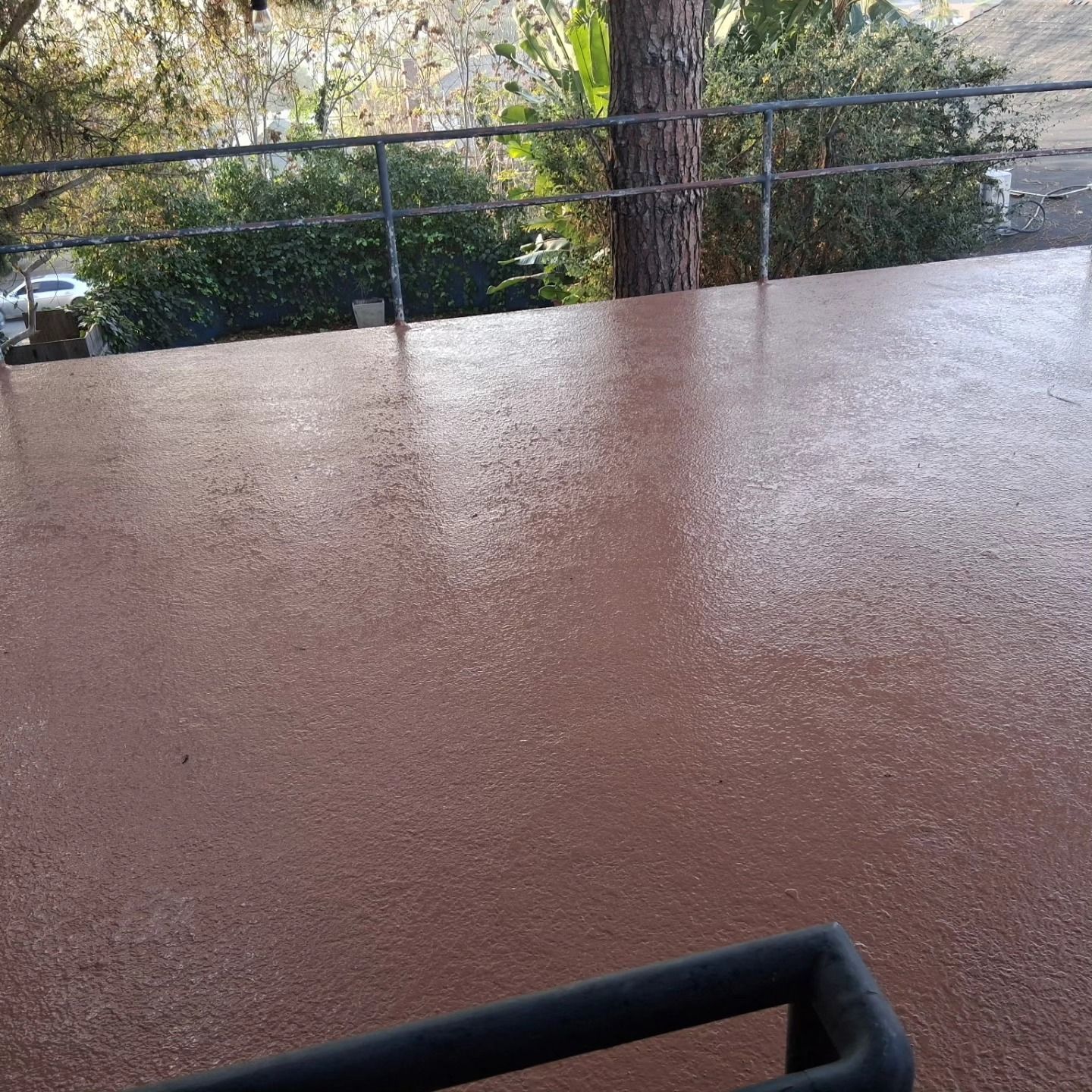 Wet brown patio floor with a black railing and trees in the background