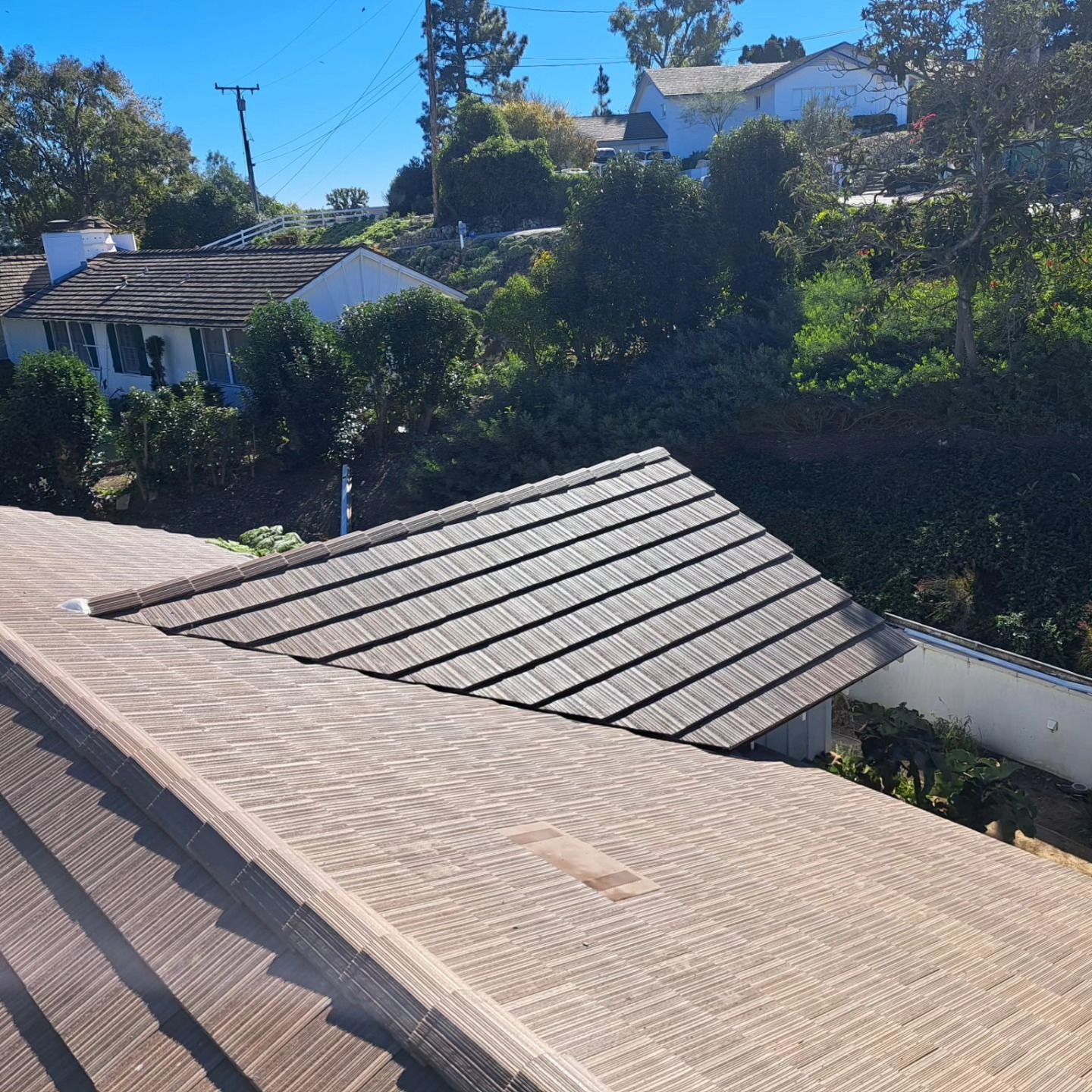 Residential rooftops and trees on a sunny hillside with blue sky