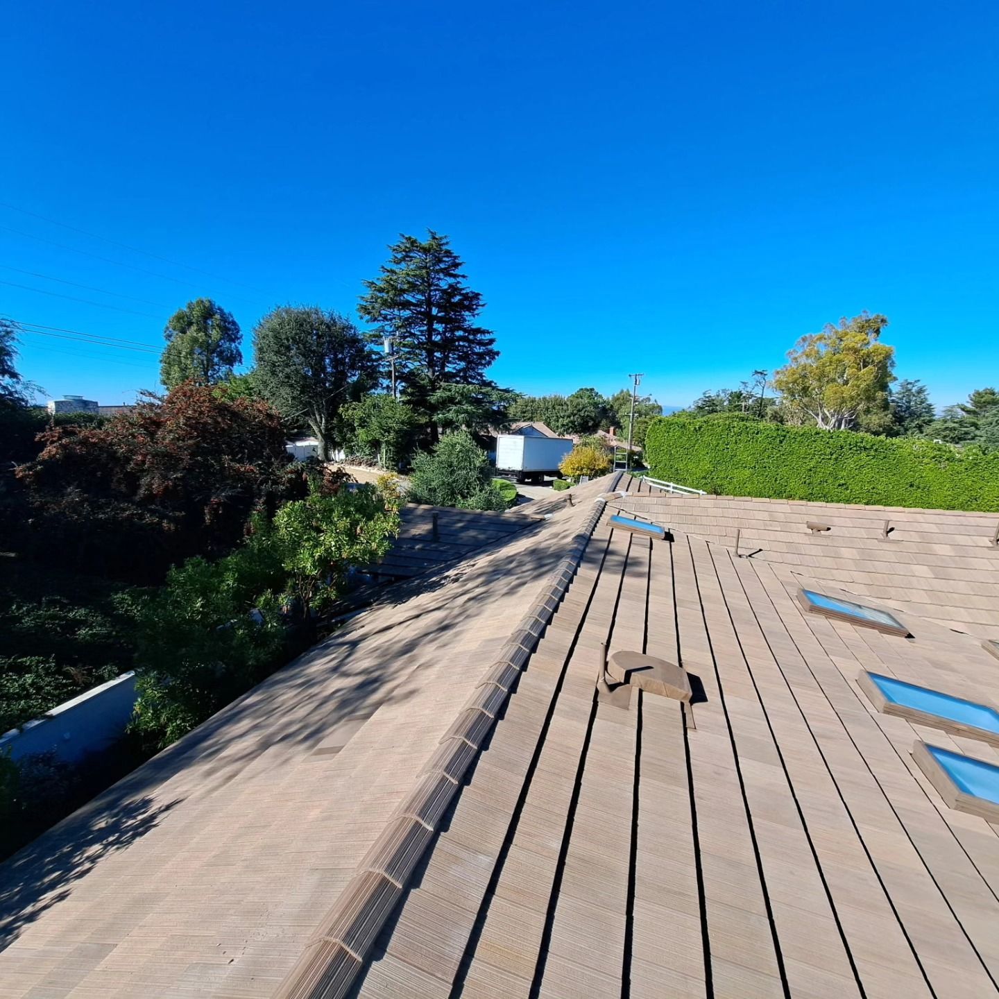 Wooden boardwalk on a sunny rooftop garden with trees, hedges, and blue sky