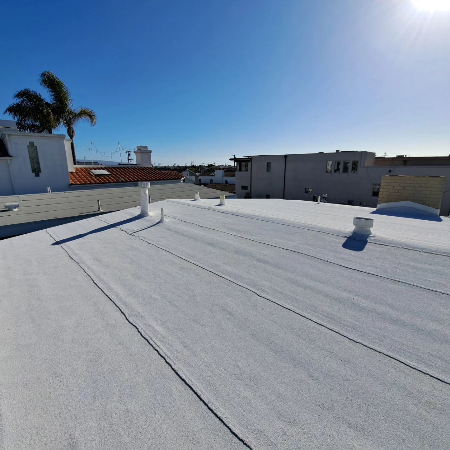Flat white rooftop under a bright blue sky, with vents, palm trees, and nearby buildings.