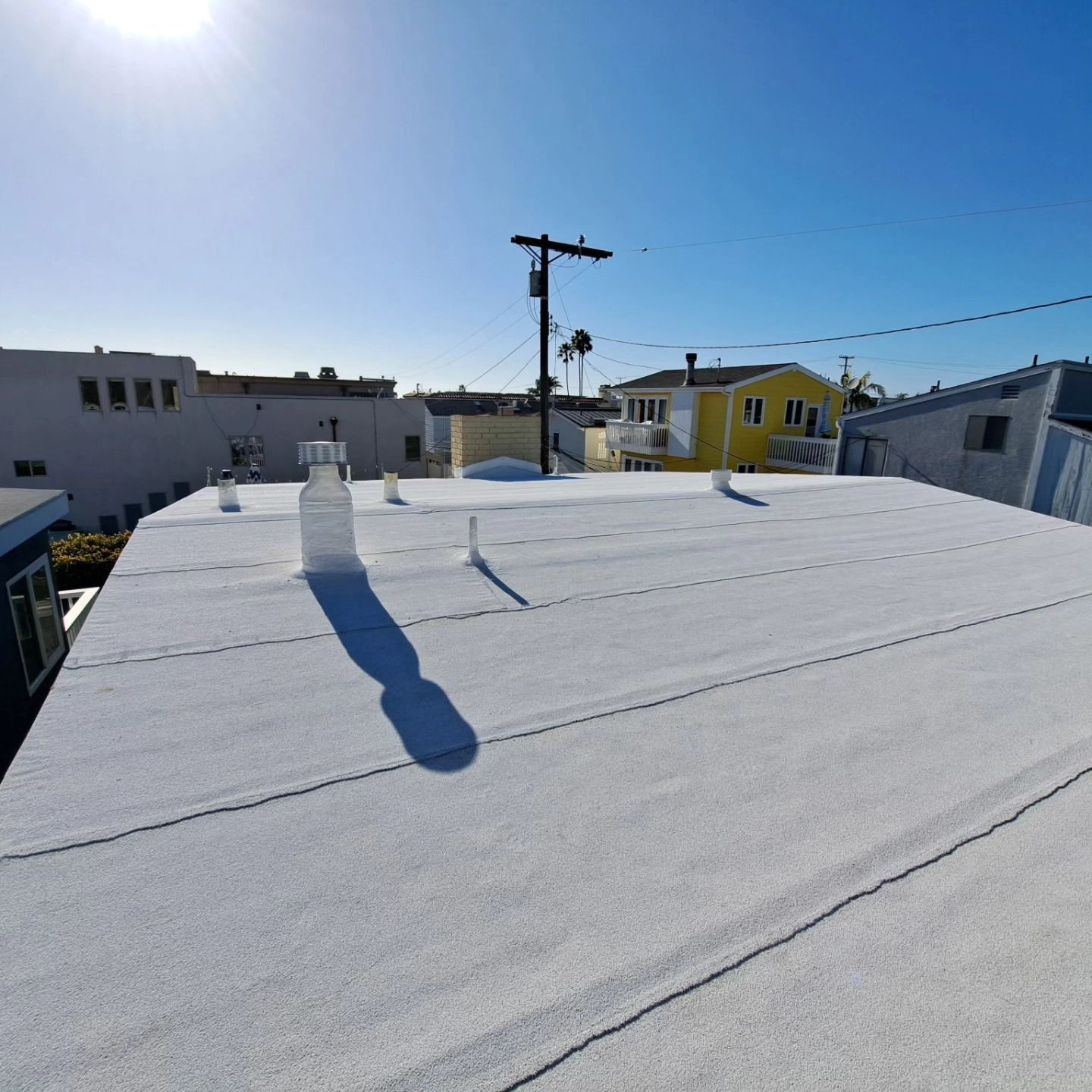 Snow-covered flat rooftop with skylights and a utility pole in a sunny neighborhood.