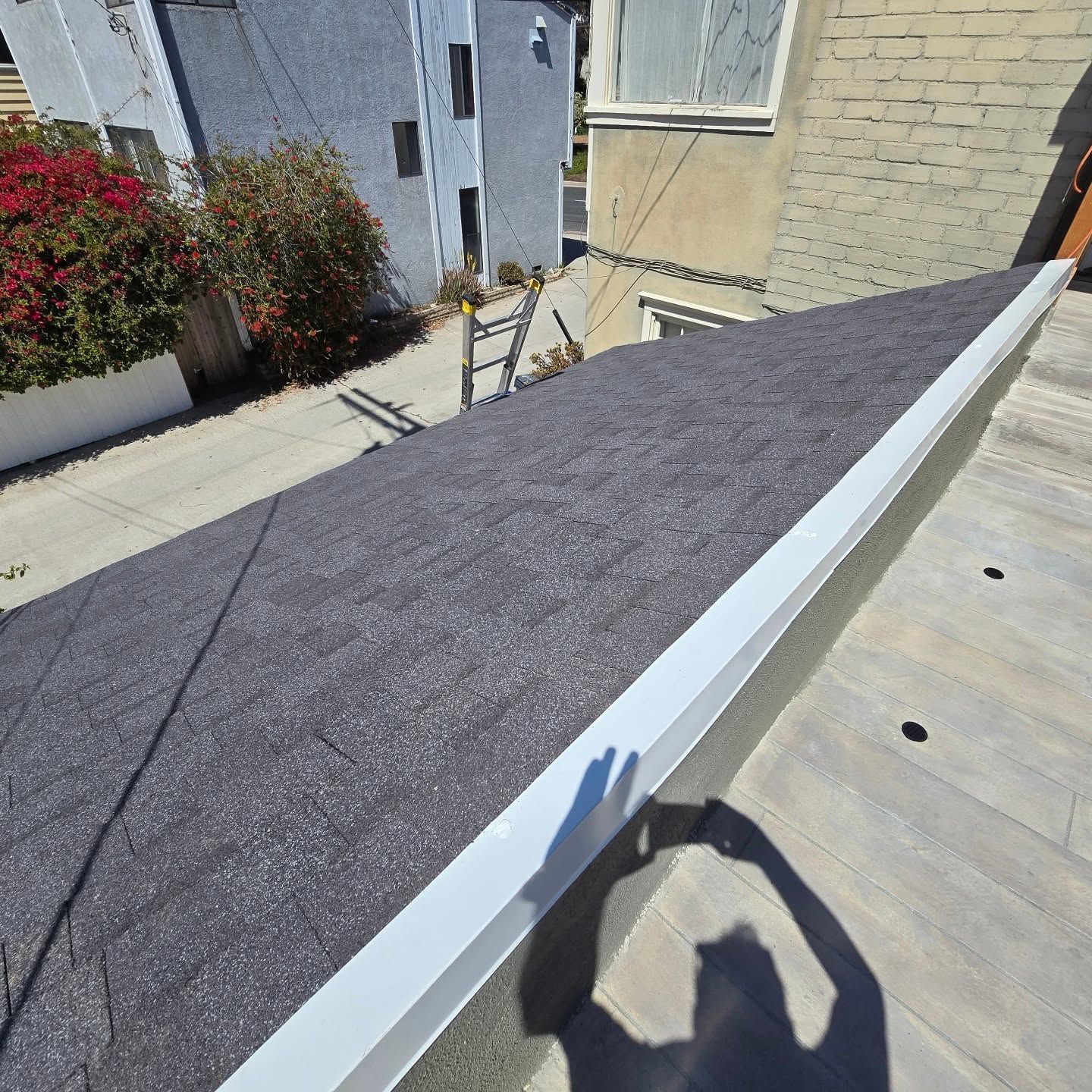 Roofing work on a flat roof beside a building, with a ladder and nearby shrubs.