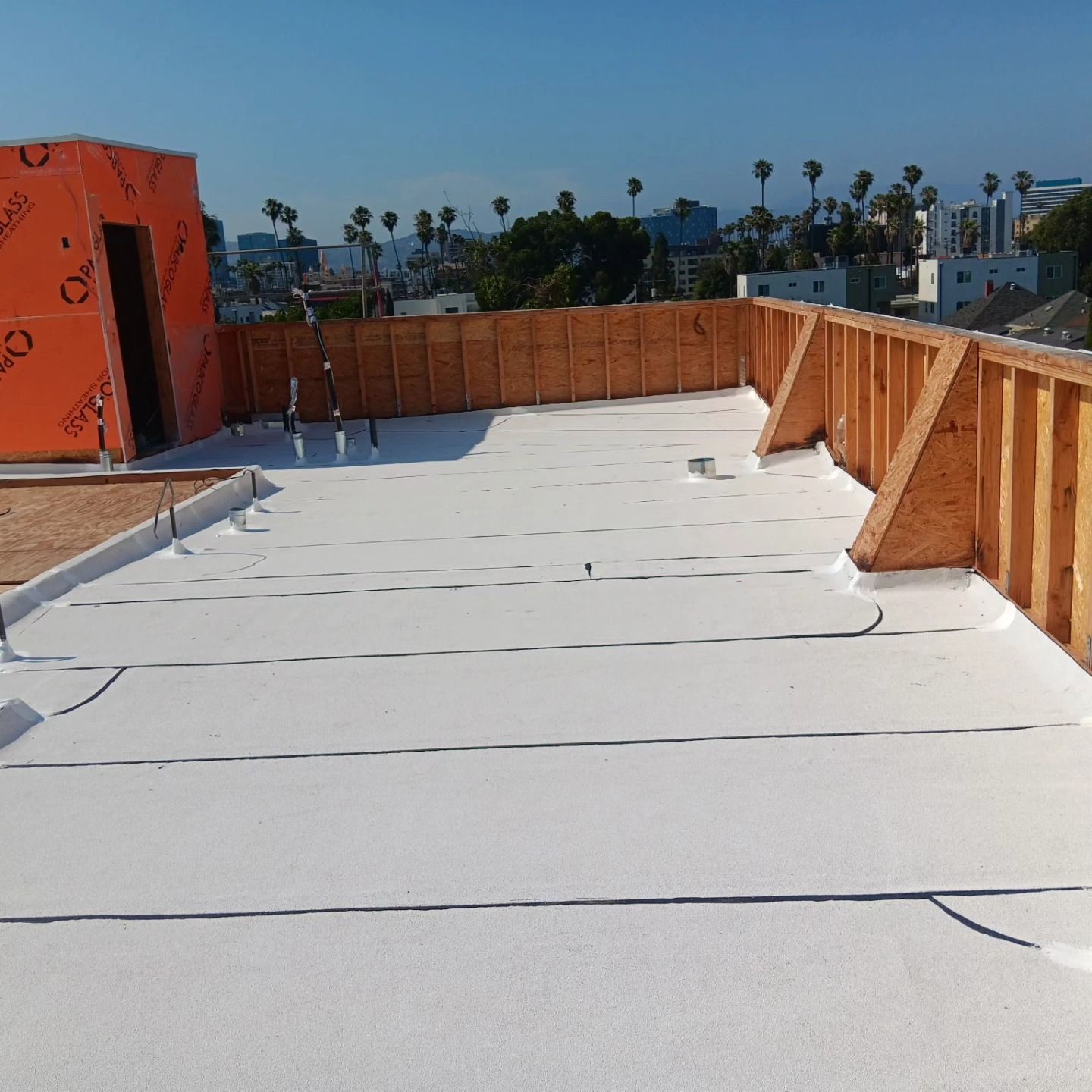 Rooftop under construction with white membrane flooring, wooden safety railings, and city palms in the background