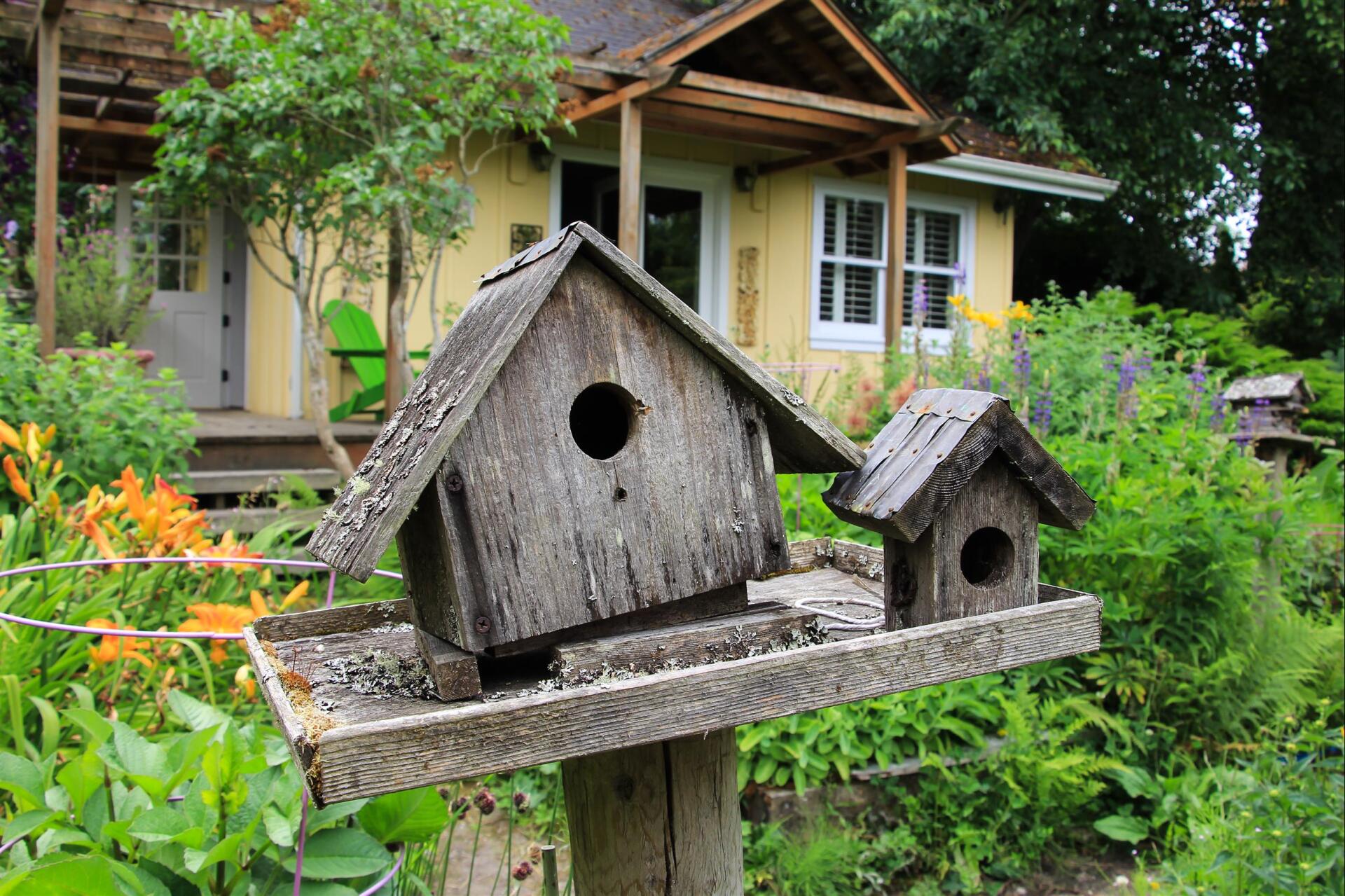 Bird House