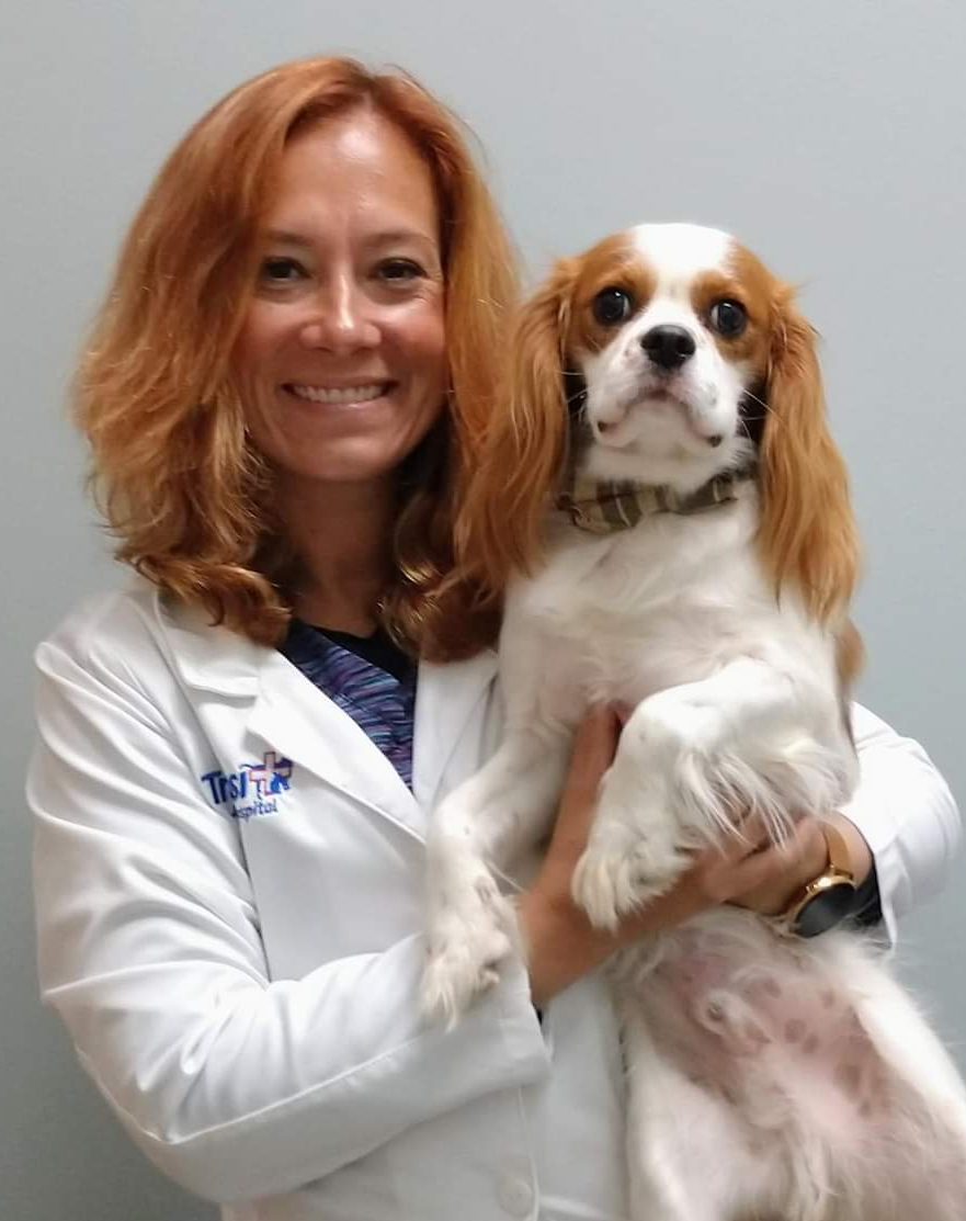 Jennifer S. Gill, DVM - Transit Animal Hospital West Seneca, NY