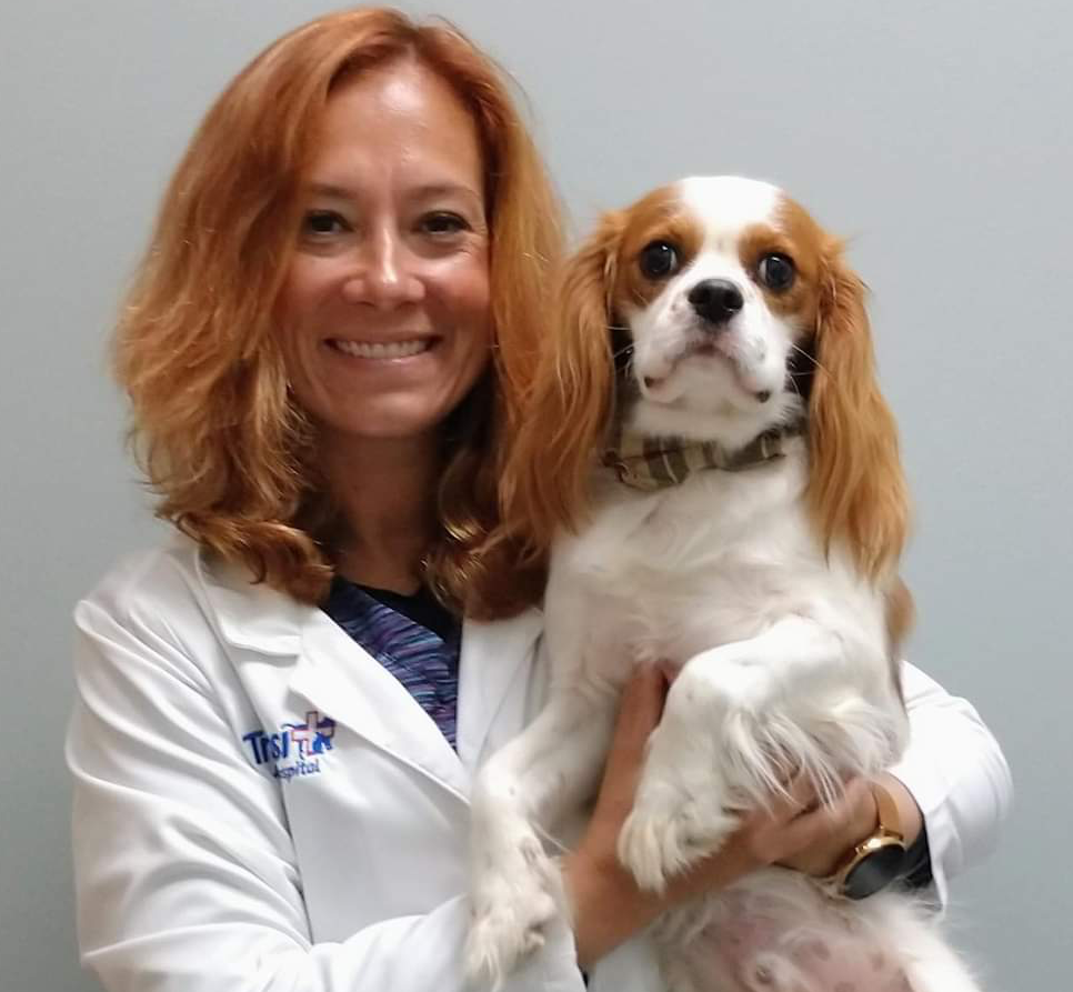 Jennifer S. Gill, DVM - Transit Animal Hospital West Seneca, NY