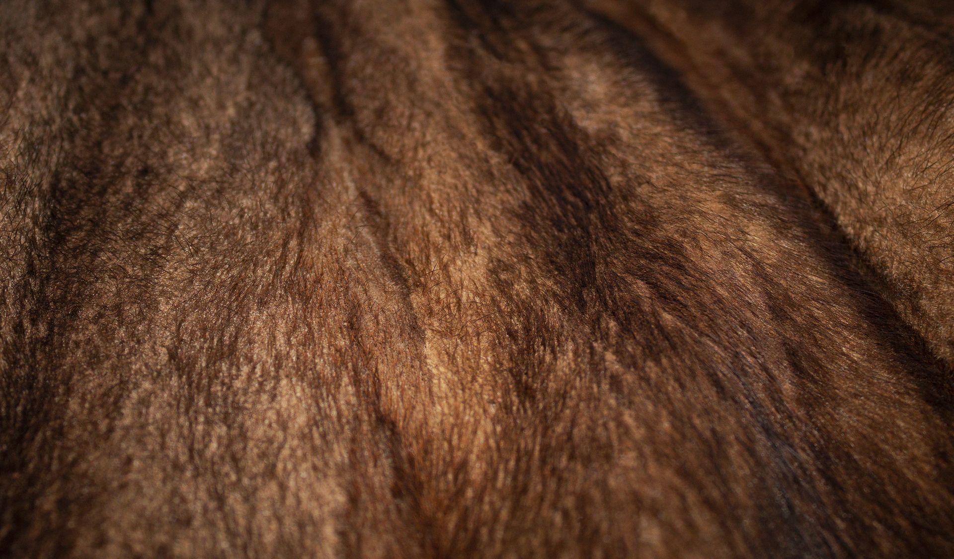 mink fur