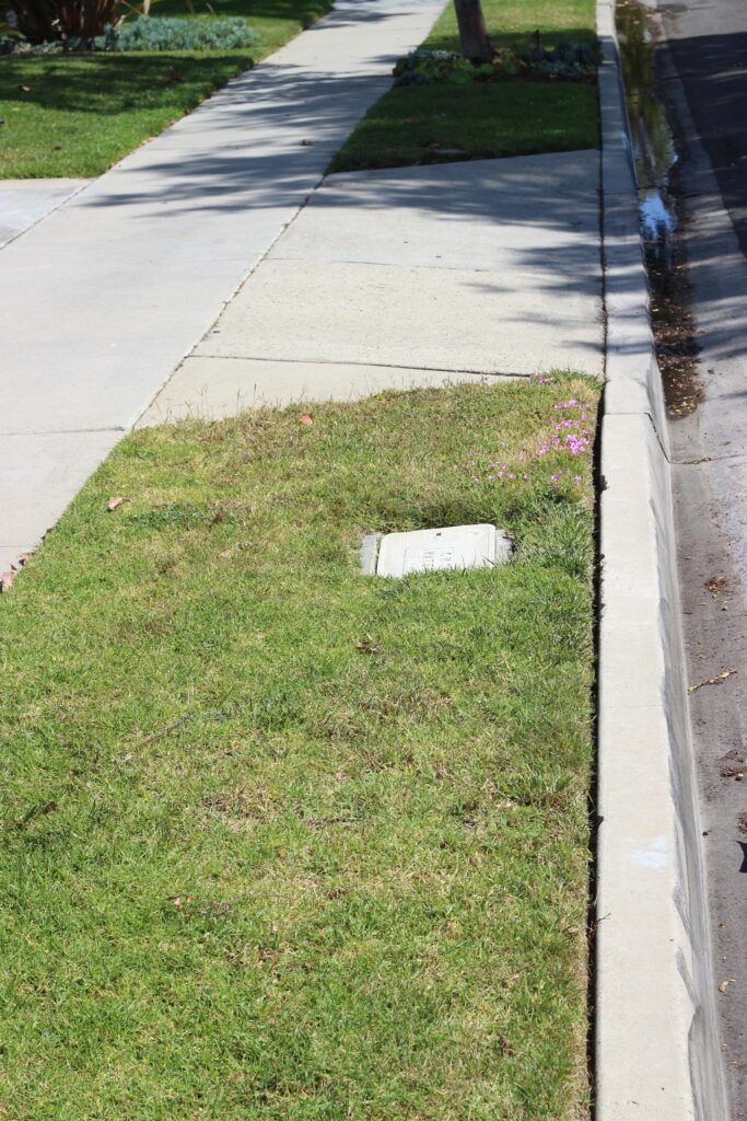 A sidewalk with a concrete curb and grass on the side of it.