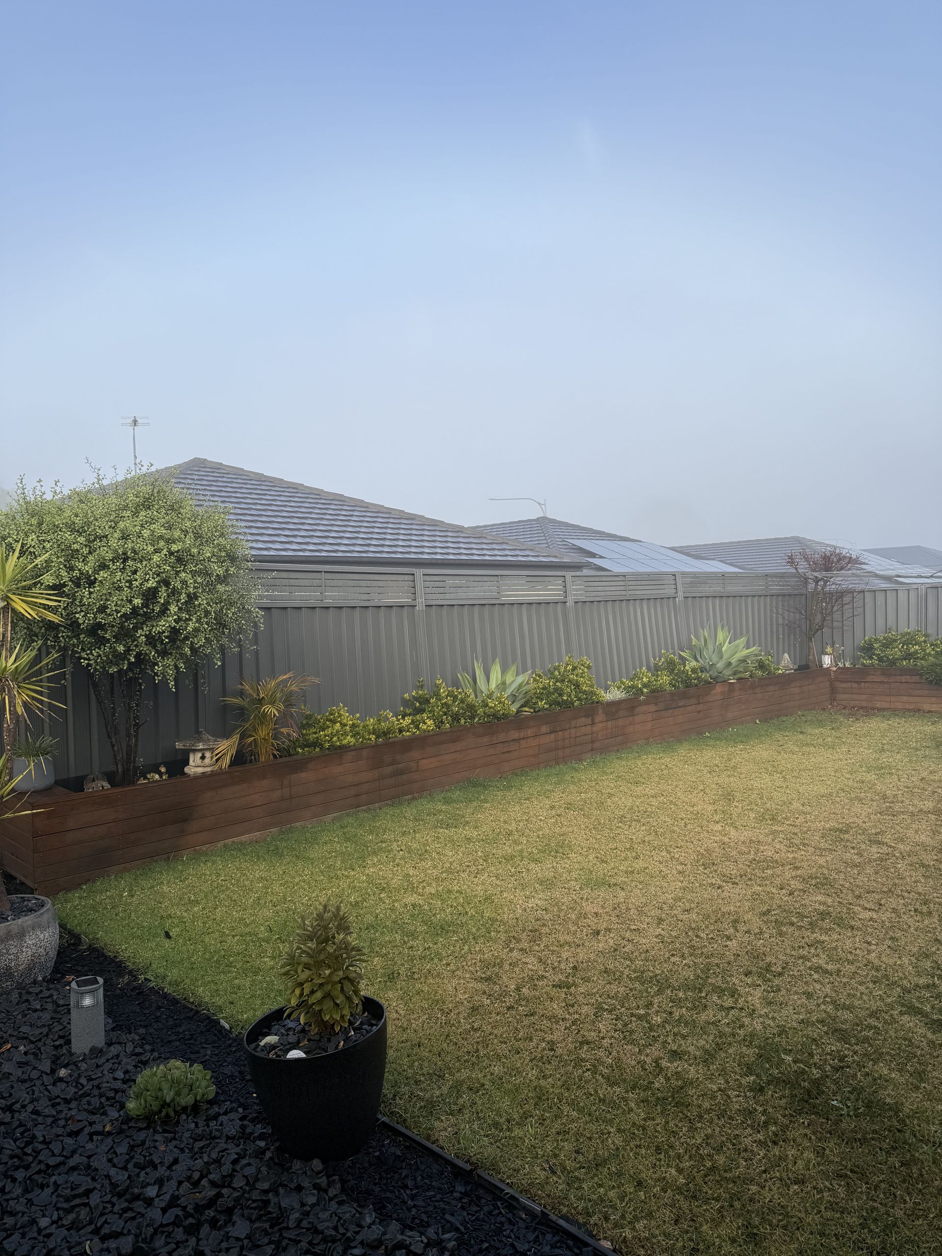 A Lush Green Lawn with A Fence in The Background and A Potted Plant in The Foreground. — JOA - Construction & Maintenance Pty Ltd in Campbelltown, NSW