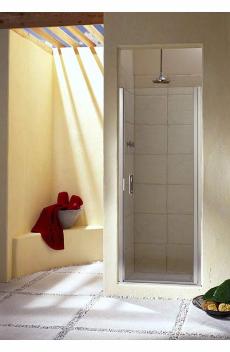 Hinged Shower Door