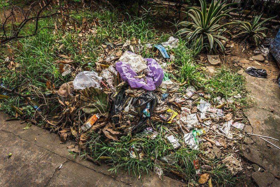 garbages in the yard