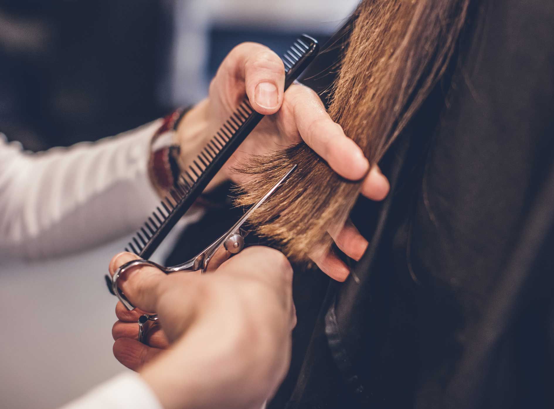 Haircuts Services — Feasterville-Trevose, PA — Salon Fusion by DL
