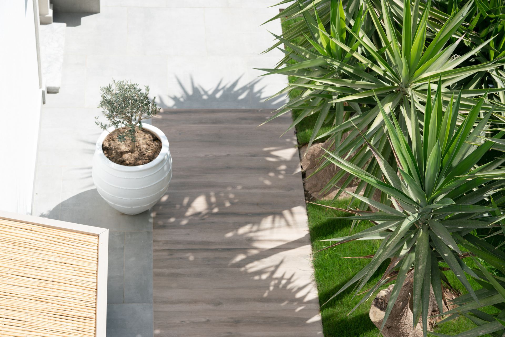 Elemanta Boutique Hotel |Balcony with gray decking, white planter, and green palm-like plants casting
