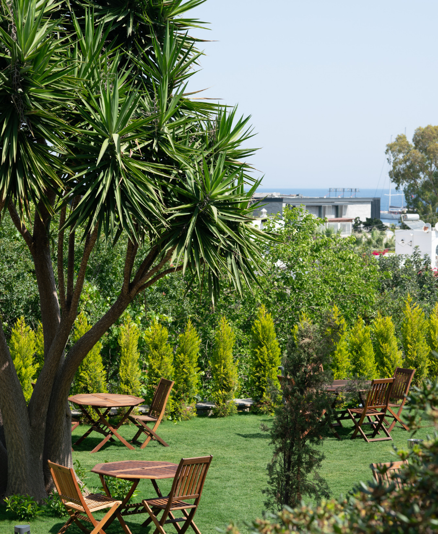 Elemanta Boutique Hotel | Garden with tables and chairs among green trees and shrubs on a sunny day
