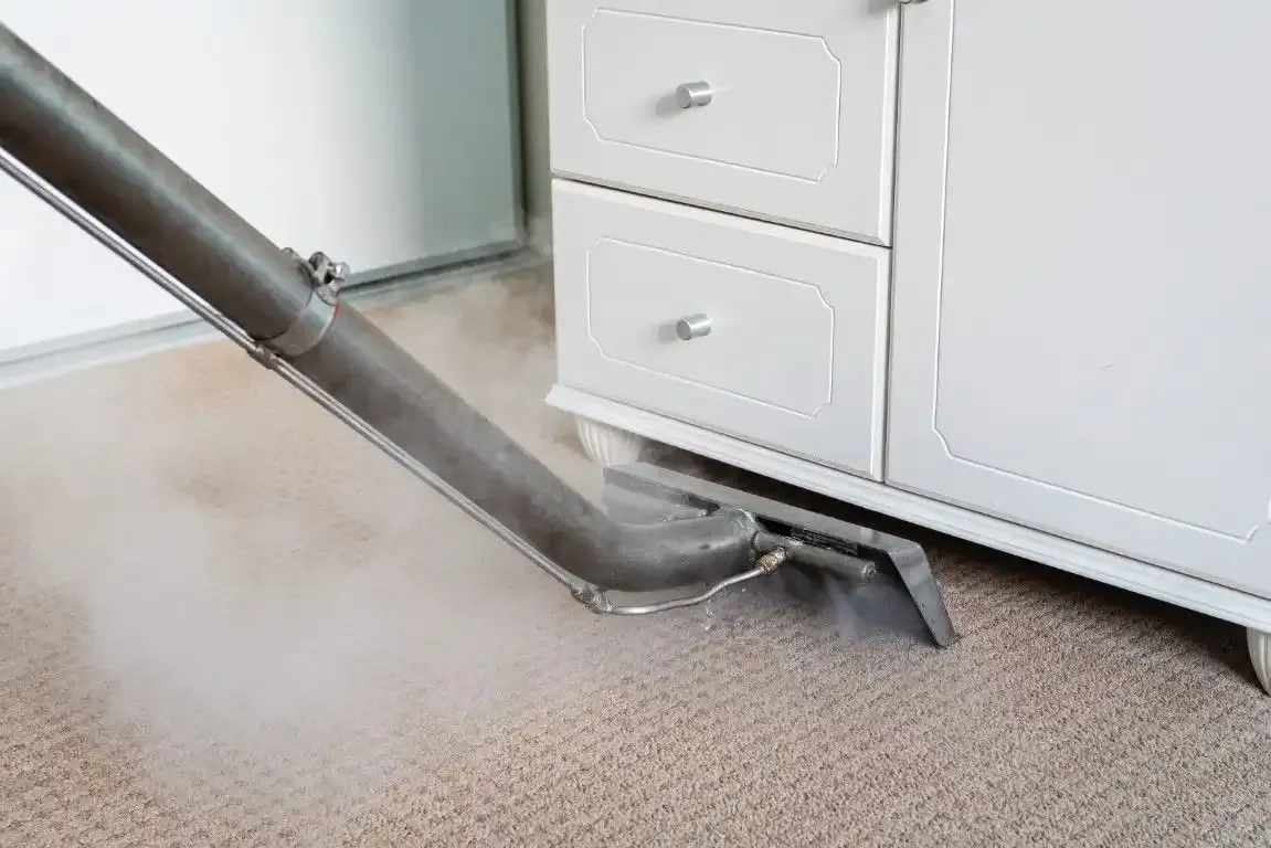 Professional carpet cleaner performing deep carpet cleaning in Temecula CA