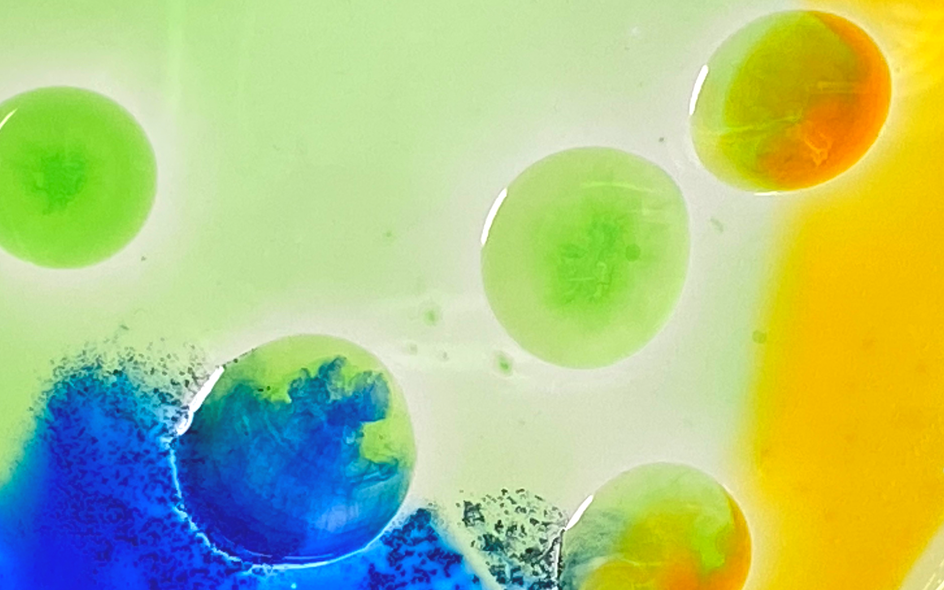 Abstract colorful bubbles on a green and yellow background
