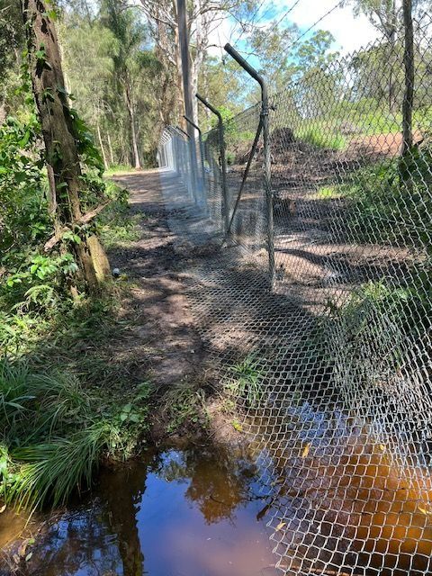A Chain Link Fence Surrounds a Muddy Stream in the Woods — Aztech Fencing In Upsalls Creek, NSW