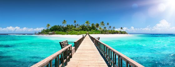 A wooden pier stretches over vibrant turquoise water toward a tropical island with lush palm trees under a bright sun. A wooden pier stretches over vibrant turquoise water toward a tropical island with lush palm trees under a bright sun.