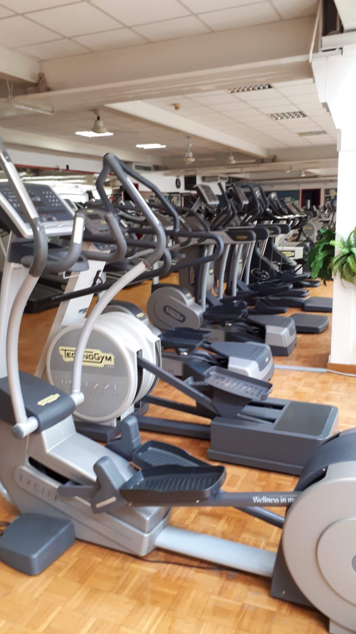 step palestra