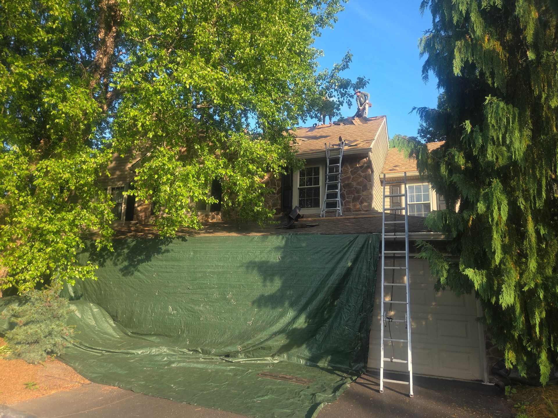 House under renovation with green tarp-covered scaffolding and a ladder against the wall, surrounded by trees
