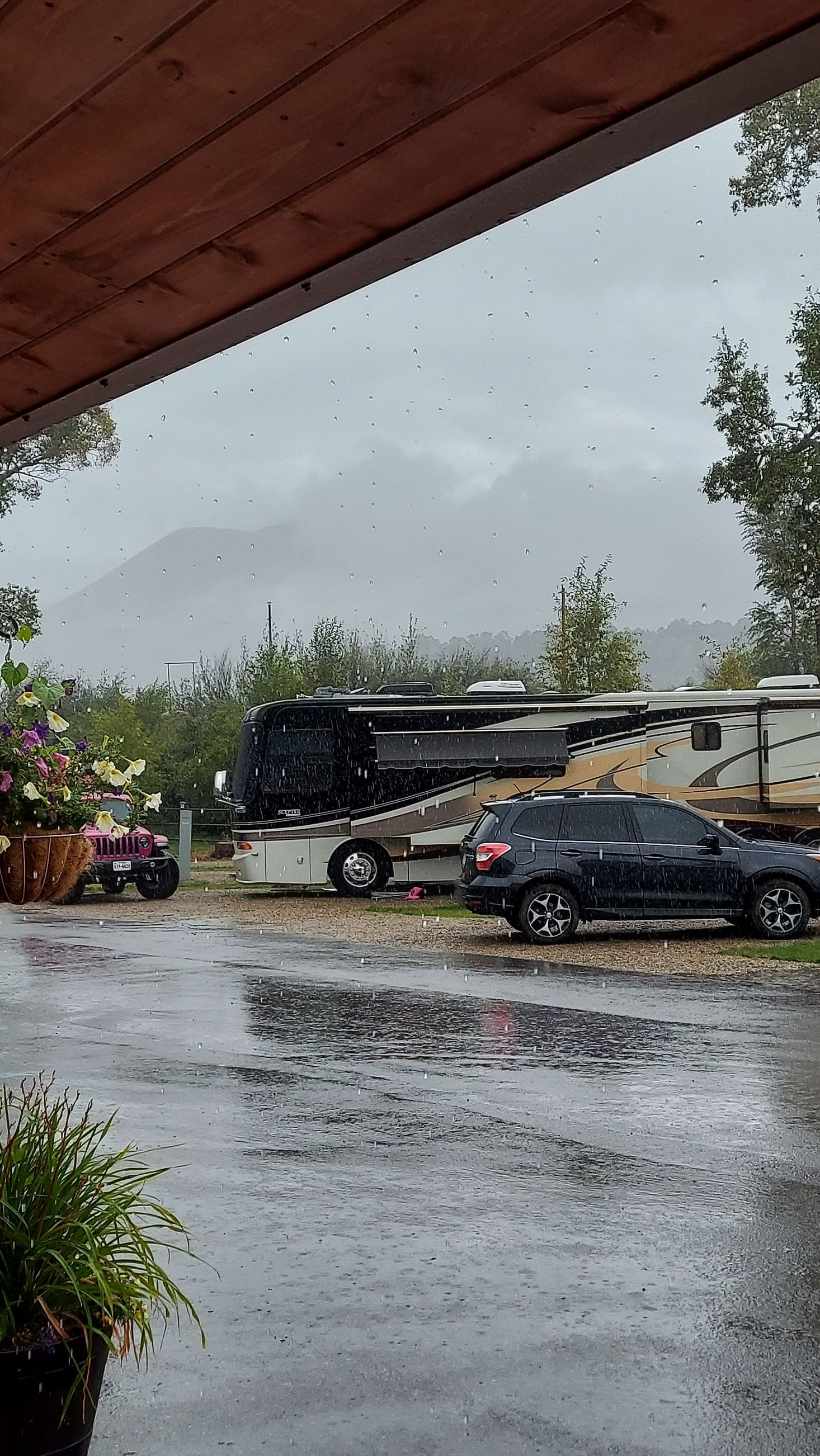 rainy-day