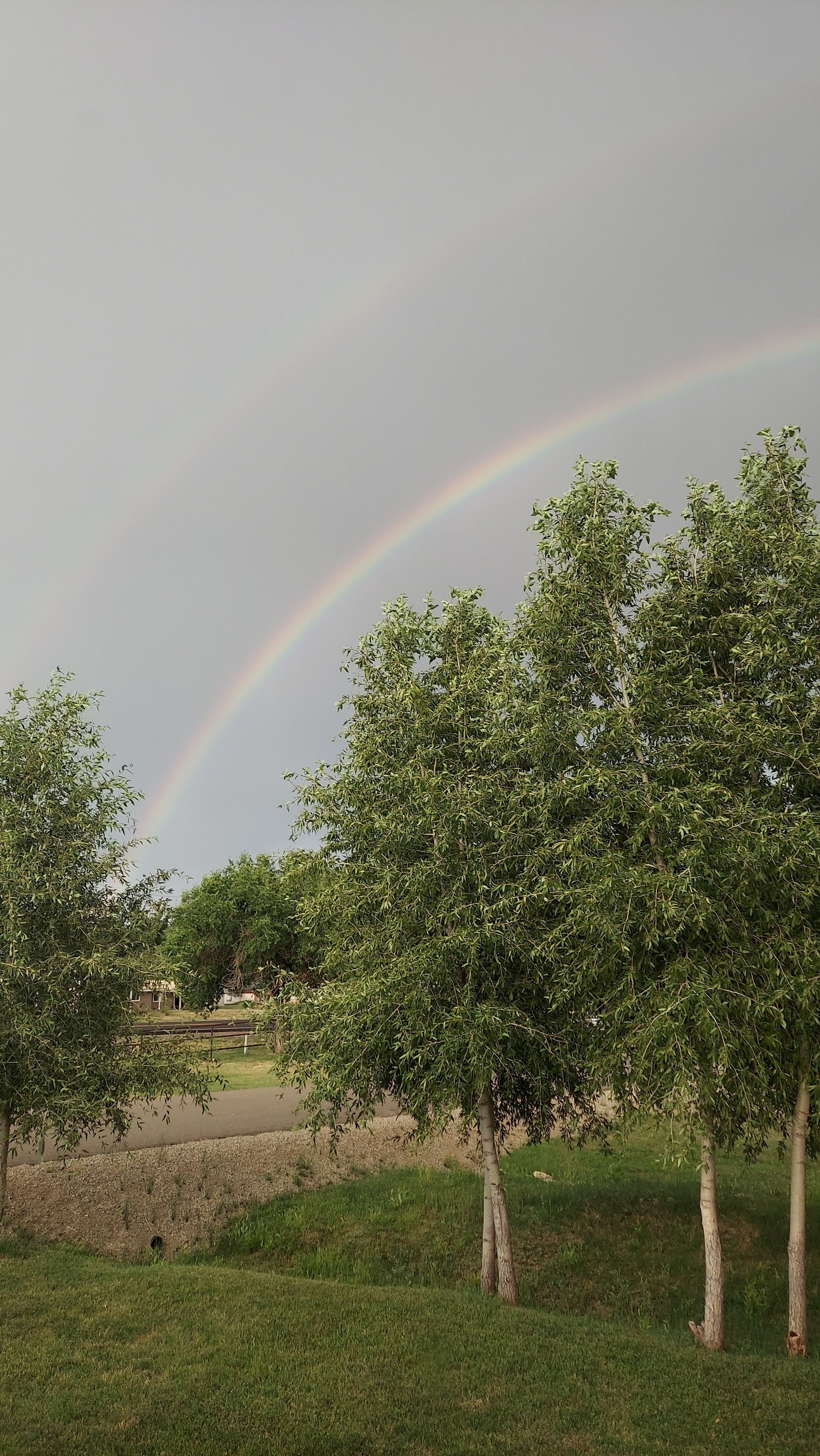 rainbow
