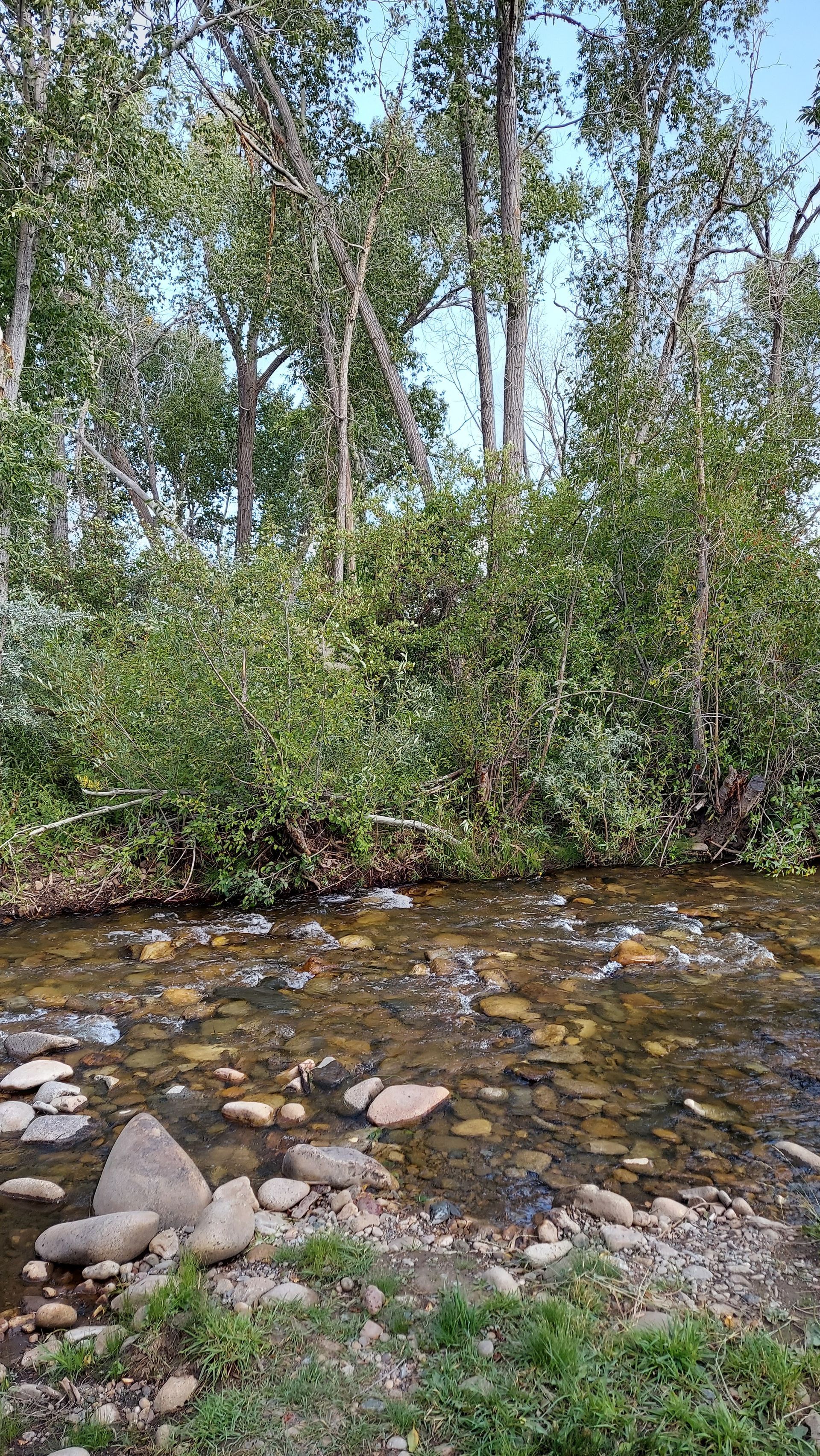 river