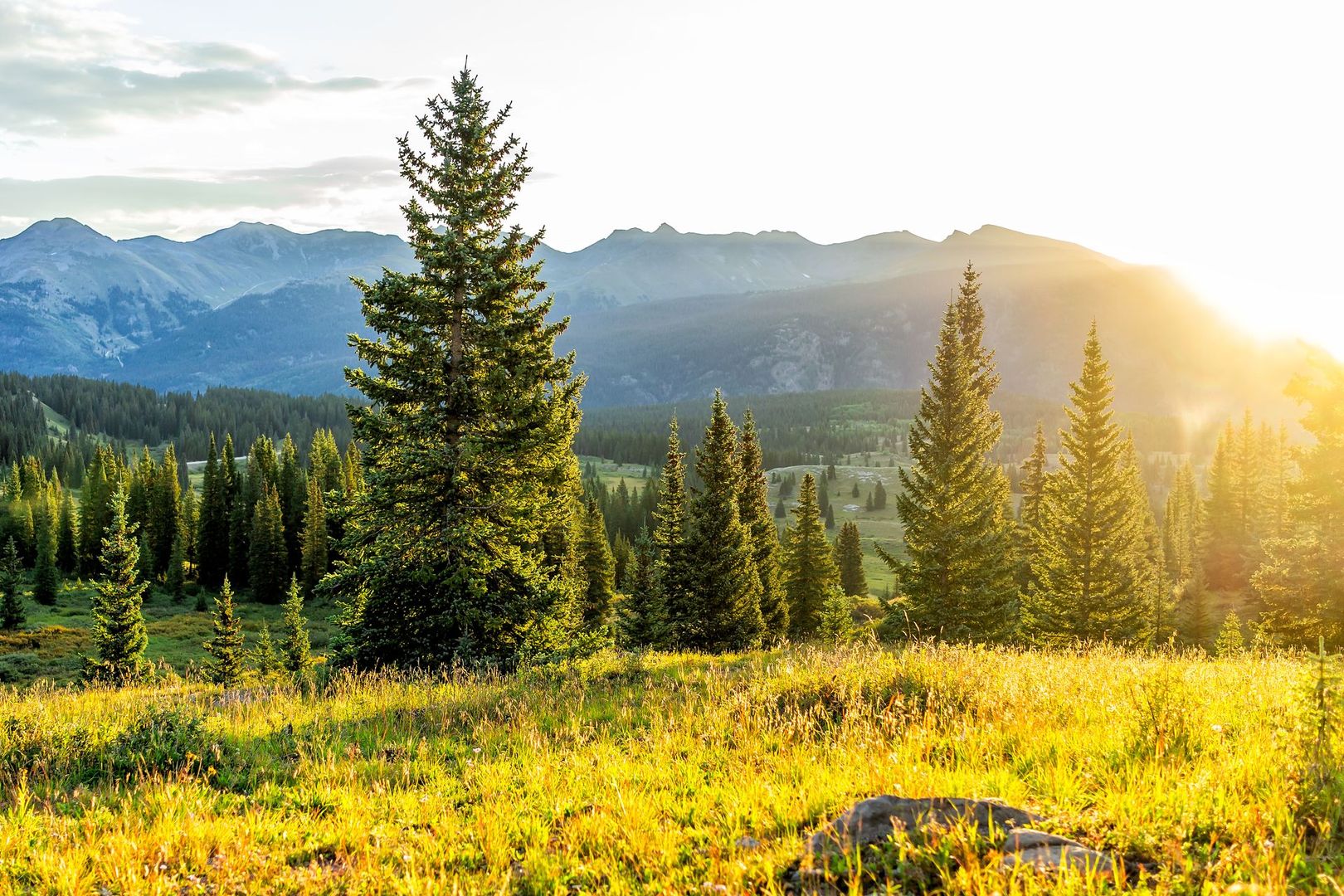 trees-and-mountains