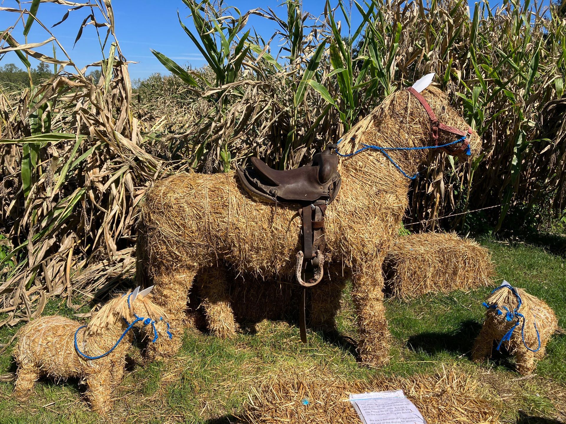 A straw sculpture of a horse with a saddle on it.