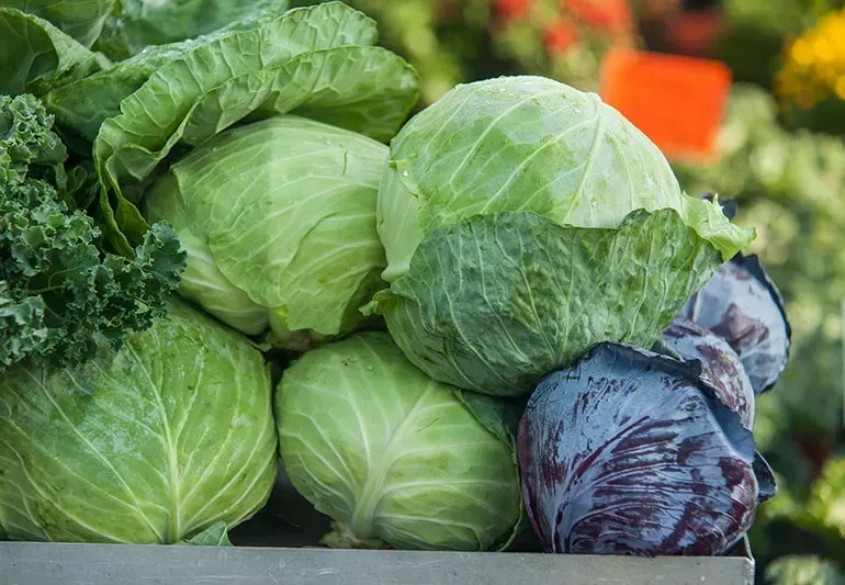 A wooden box filled with different types of cabbage.