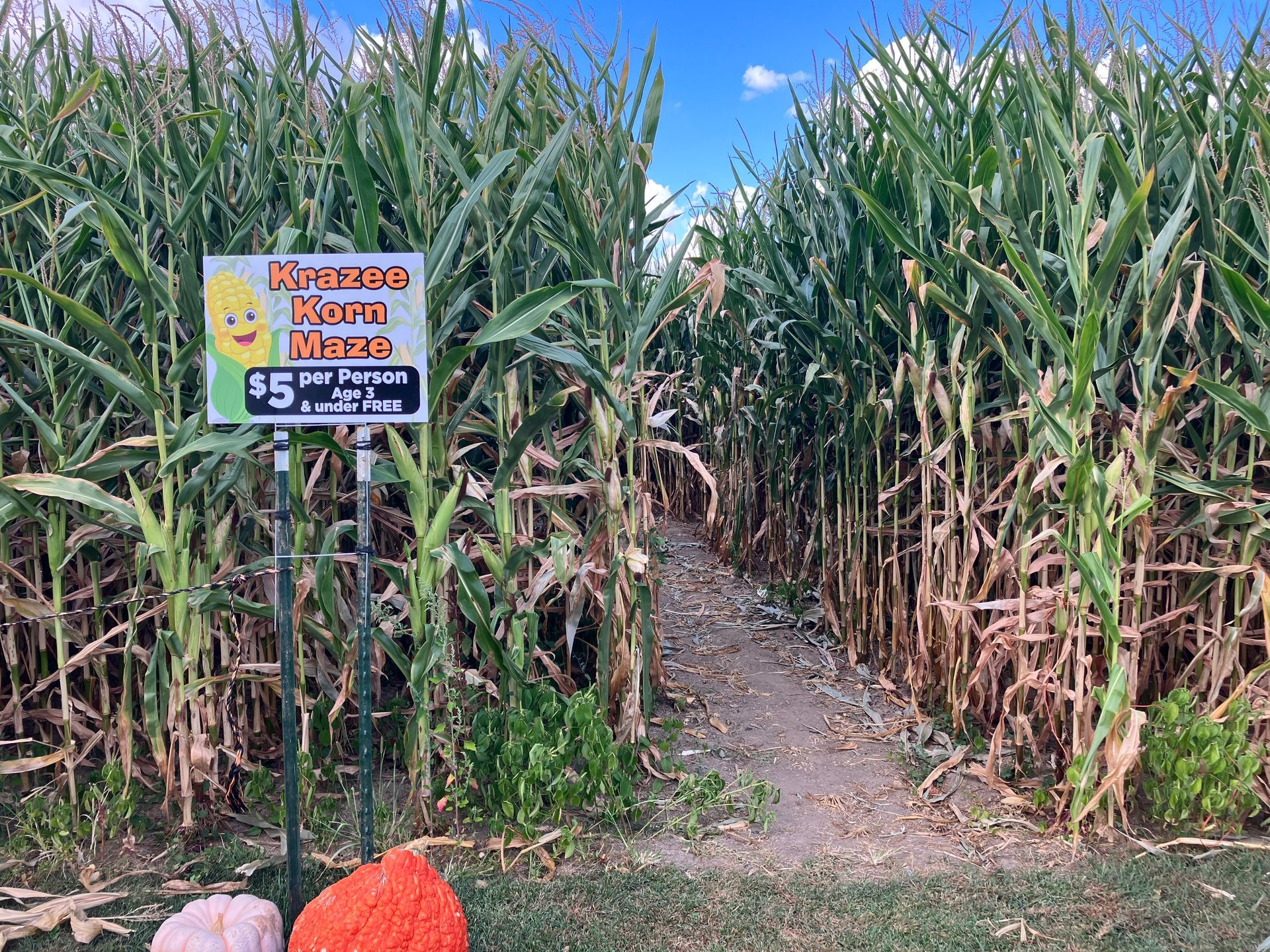 A corn maze with a sign in the middle of it.