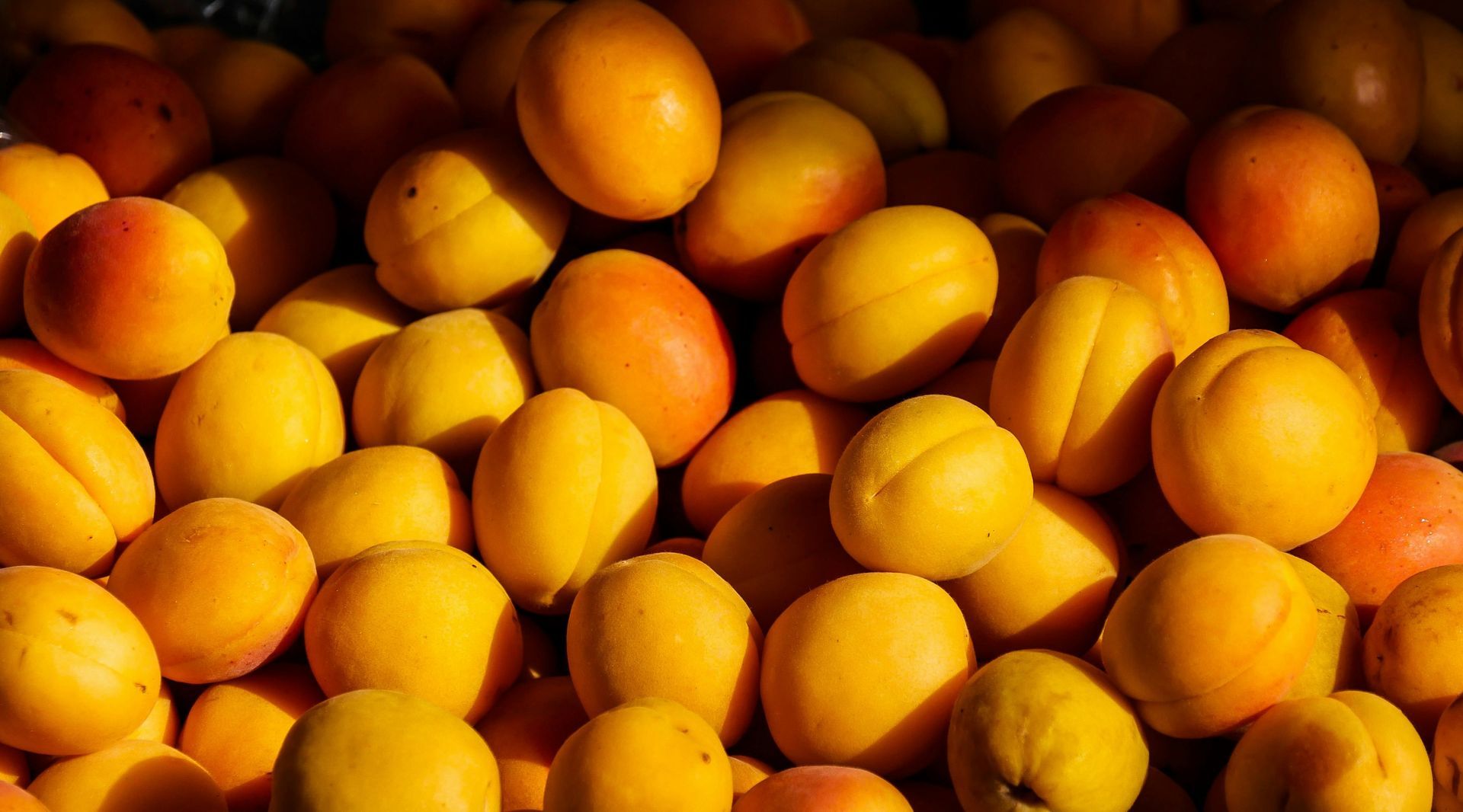 A pile of apricots sitting on top of each other