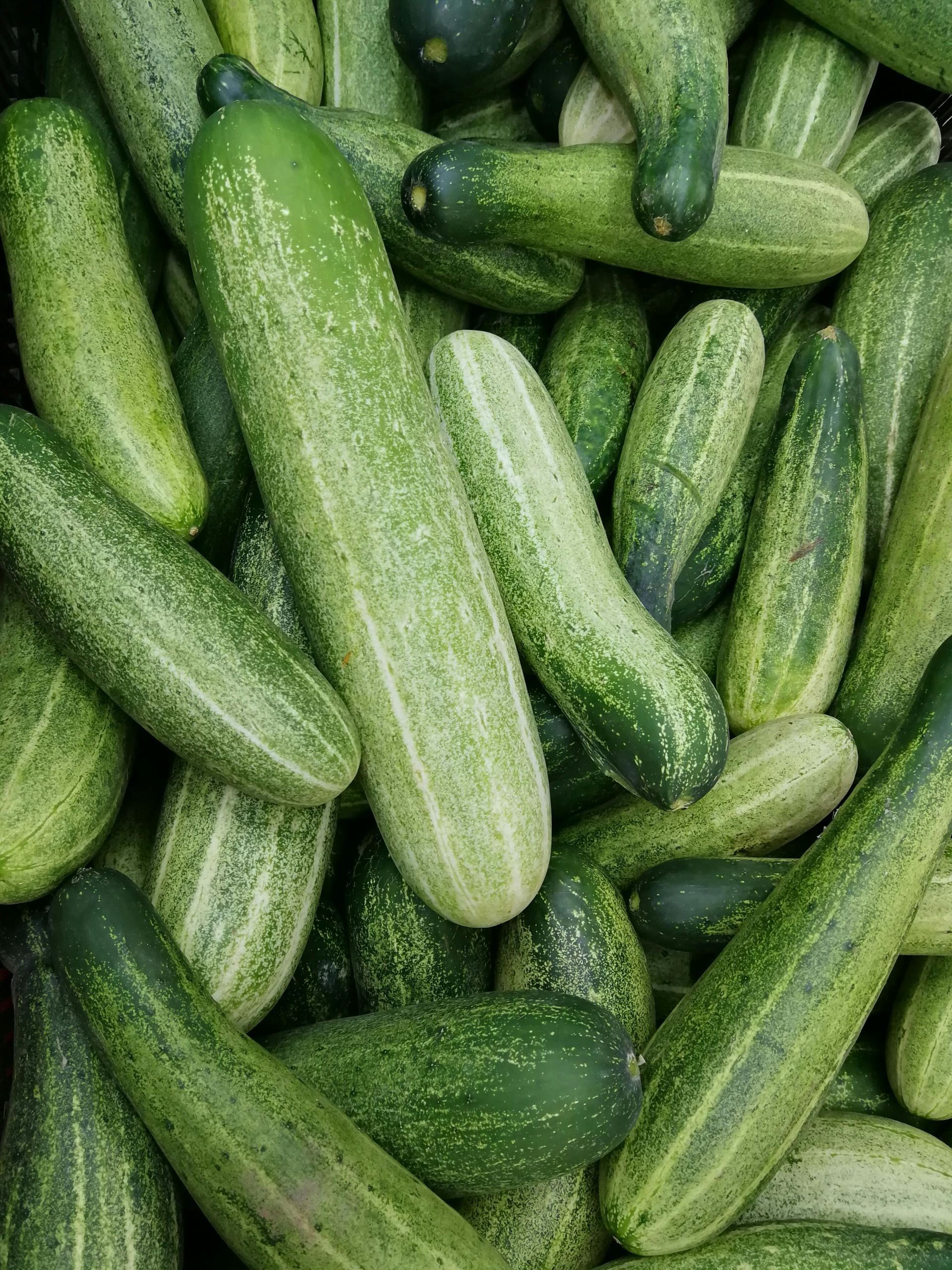 A pile of green cucumbers are sitting on top of each other.