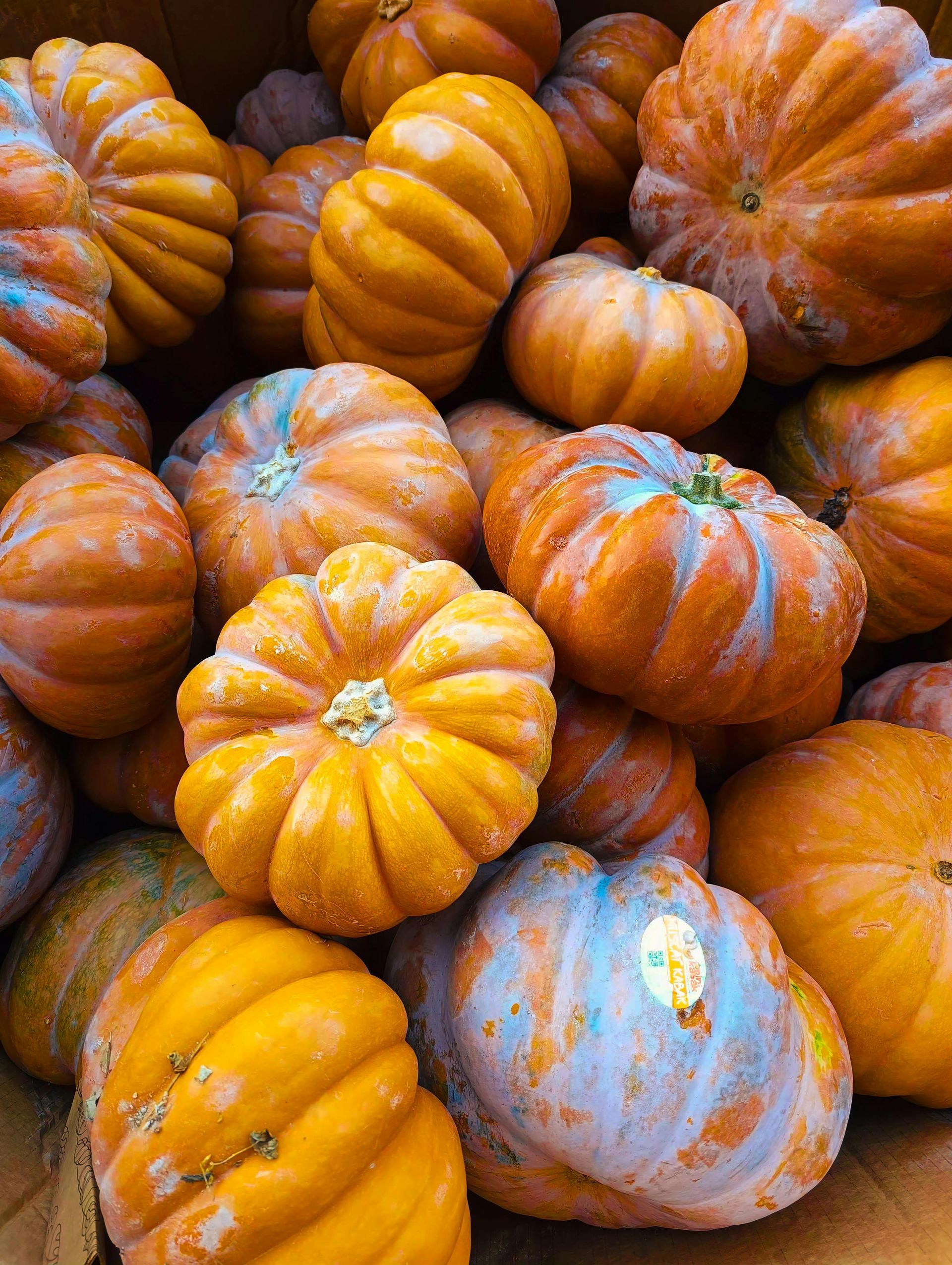 A bunch of pumpkins are stacked on top of each other on a table.
