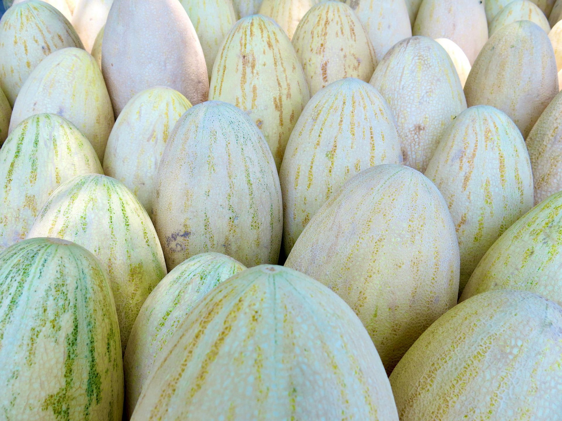A bunch of melons are sitting on top of each other on a table.