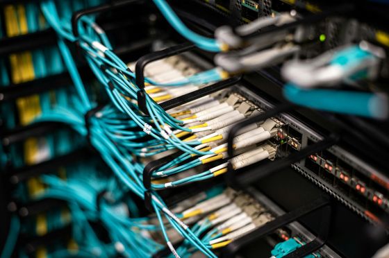 Blue network cables connected to server switches in a data center rack