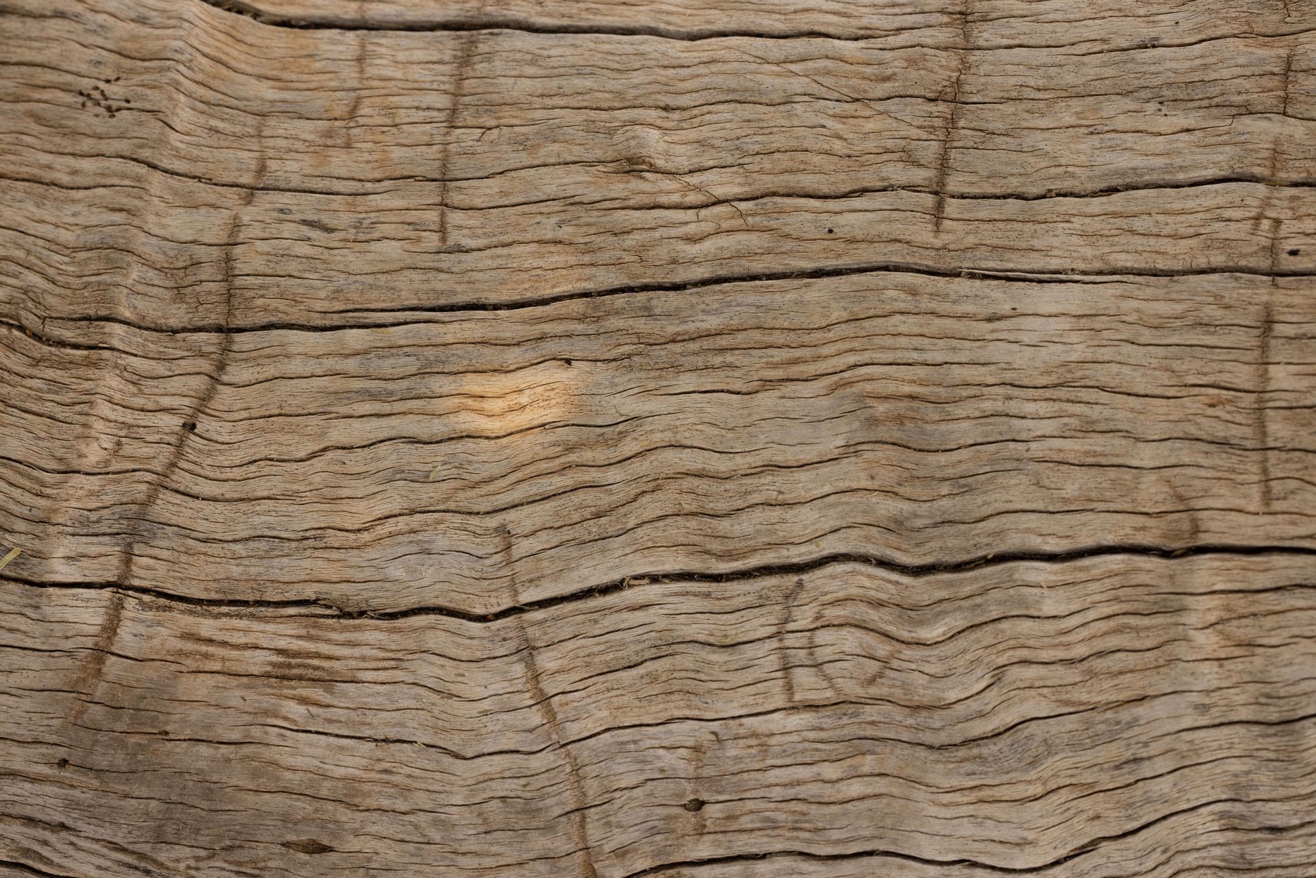 a close-up view of weathered, aged wood grain with fine horizontal lines and natural surface cracks