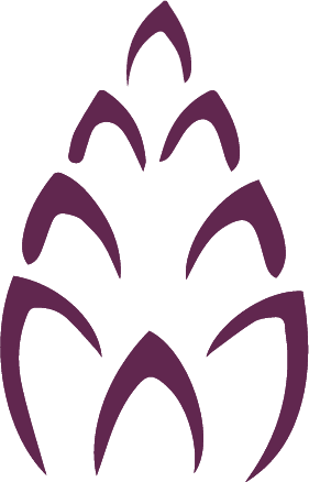 A man and woman are walking down a path holding hands.