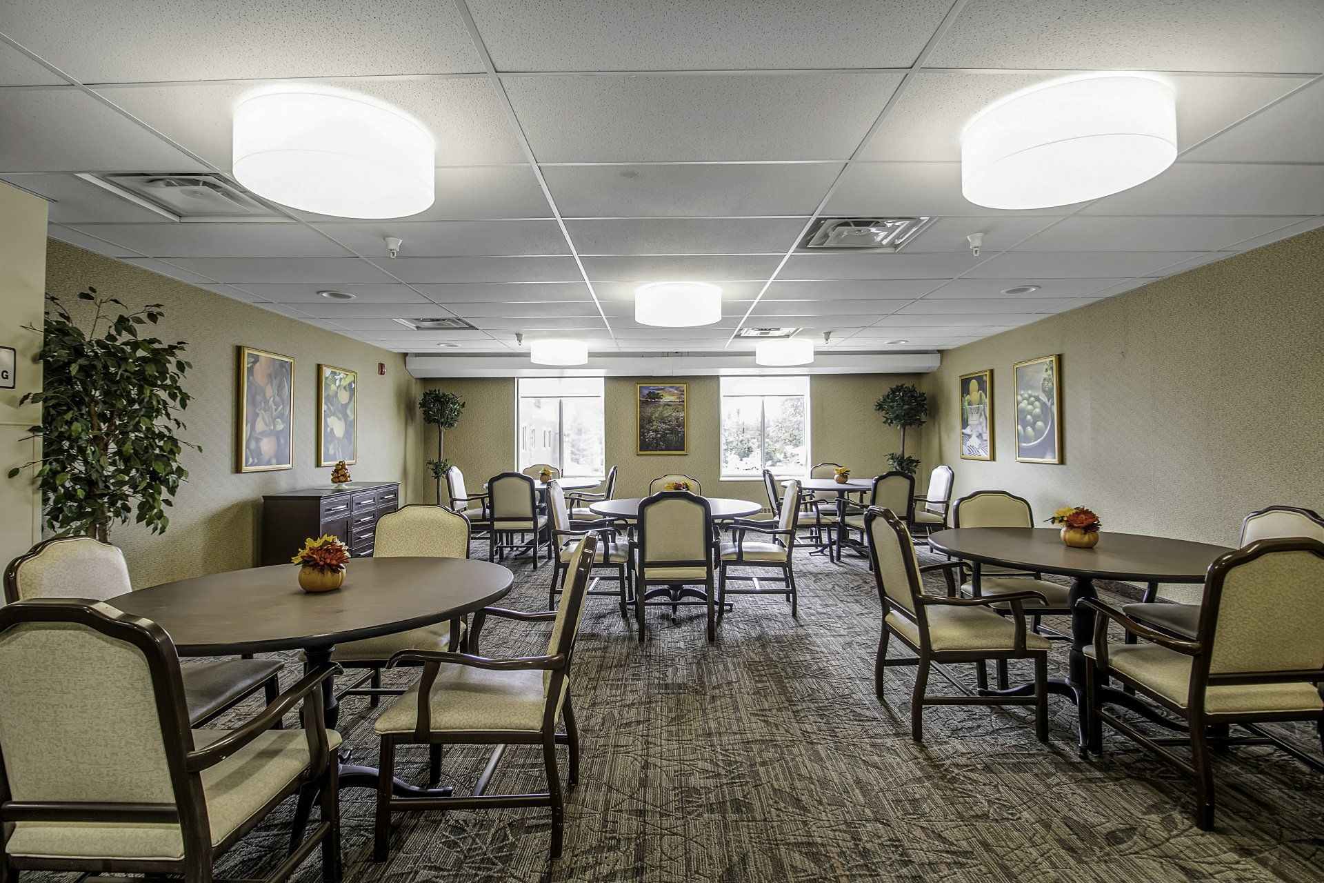 dining room area at heathwood assisted living in williamsville 