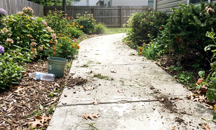 A smooth and safe custom concrete walkway winding through a beautiful green garden.